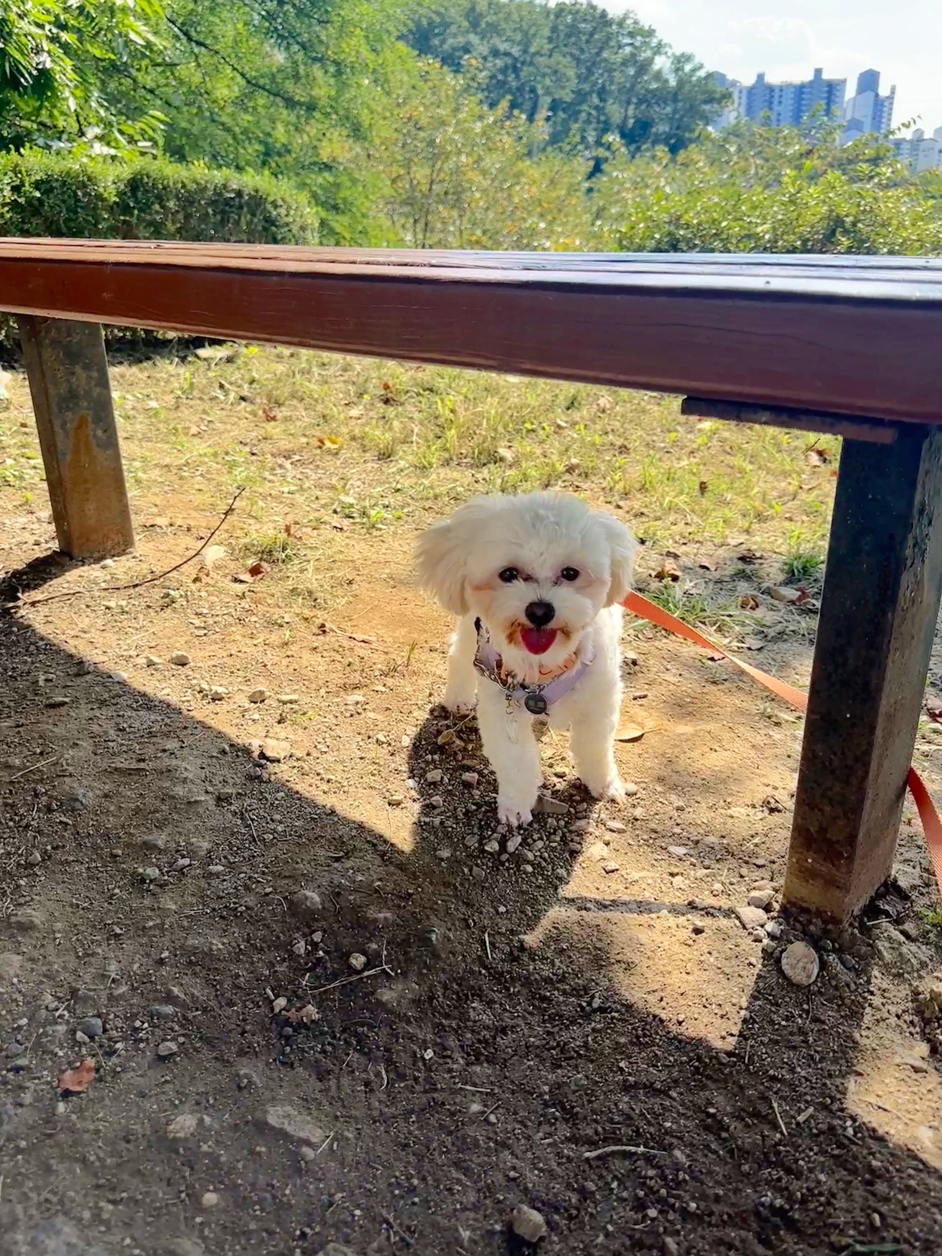 베베(말론)와 만난 지 석 달 된 이야기