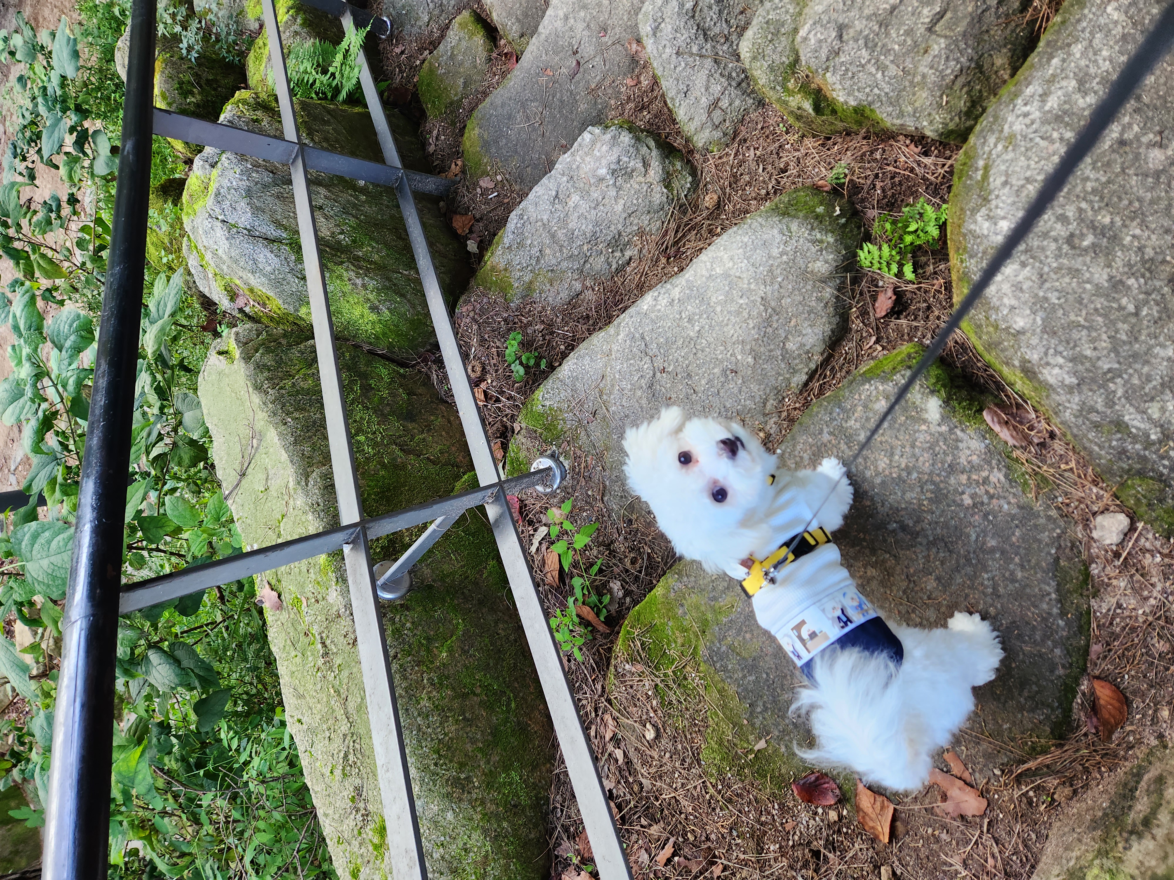 도담(말랭)이와 만난지 3개월