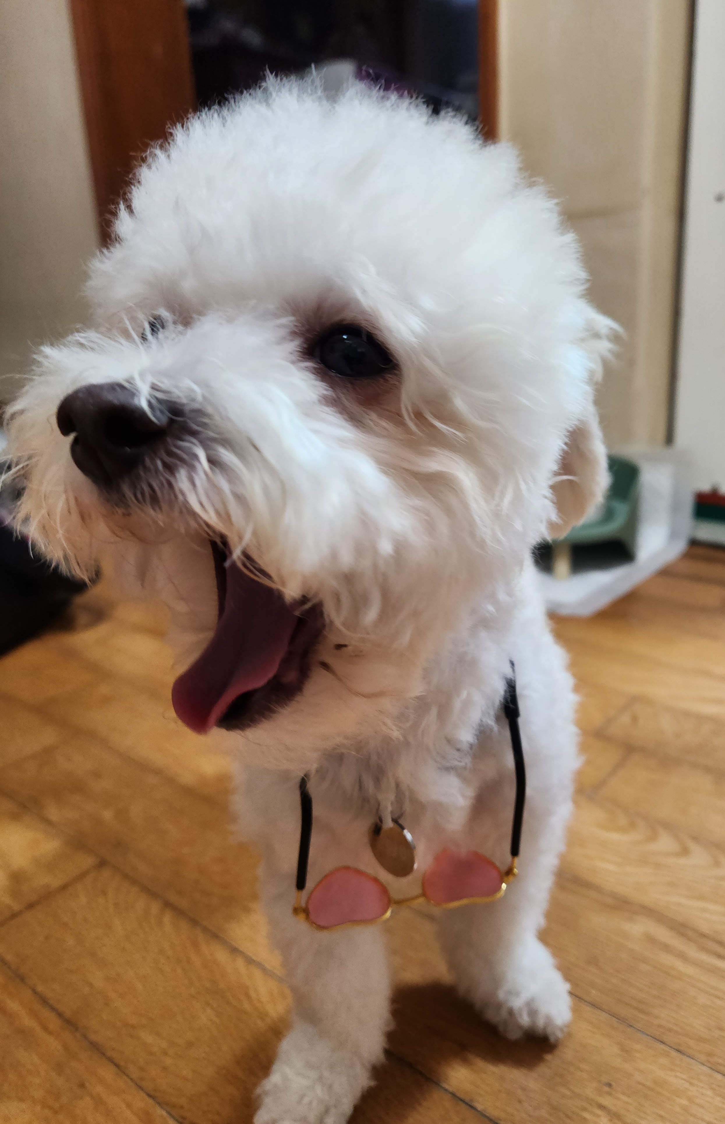 도담(말랭)이와 만난지 3개월