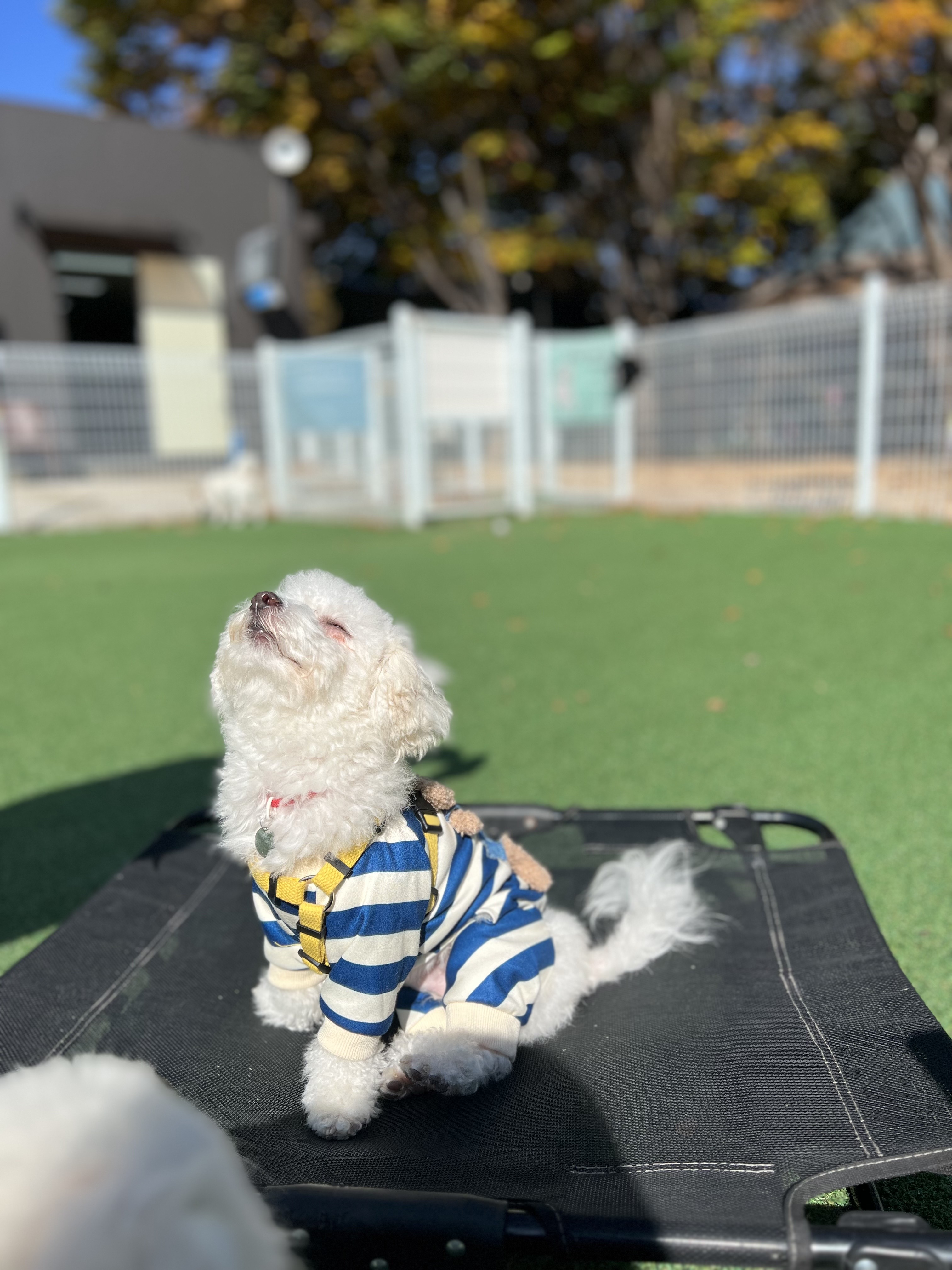 도담(말랭)이와 만난지 3개월