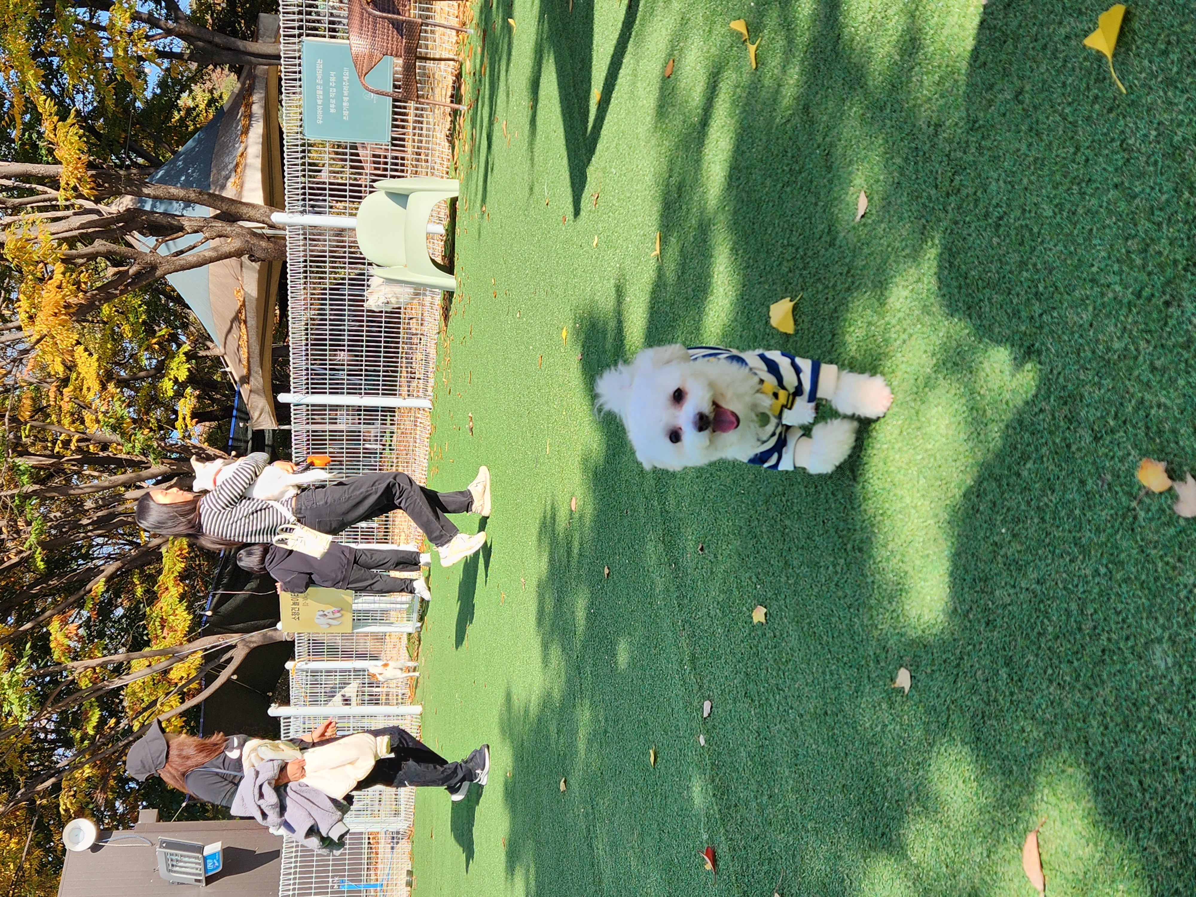 도담(말랭)이와 만난지 3개월