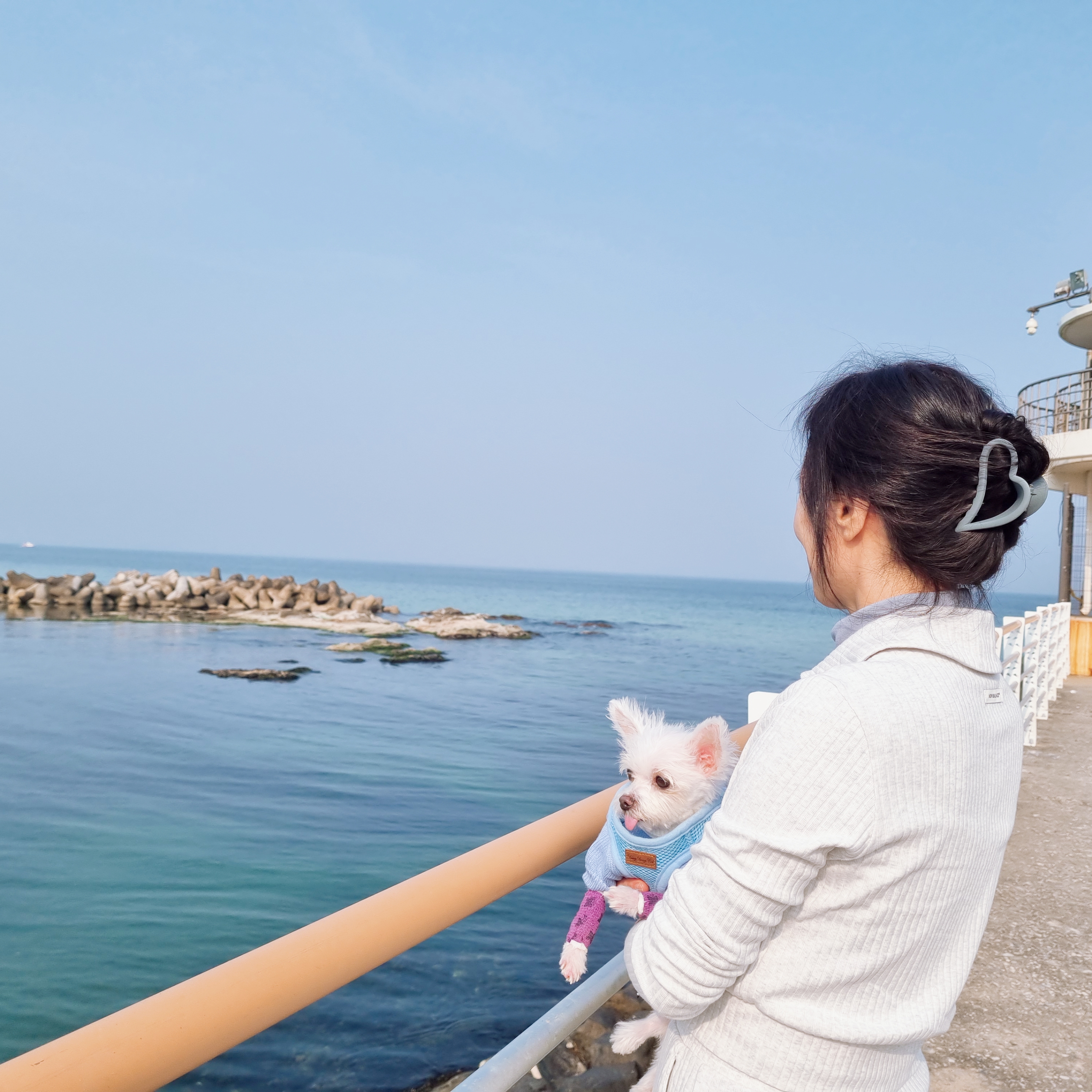 꾸미(익준이)와 함께 맞은 가을 이야기 🍂