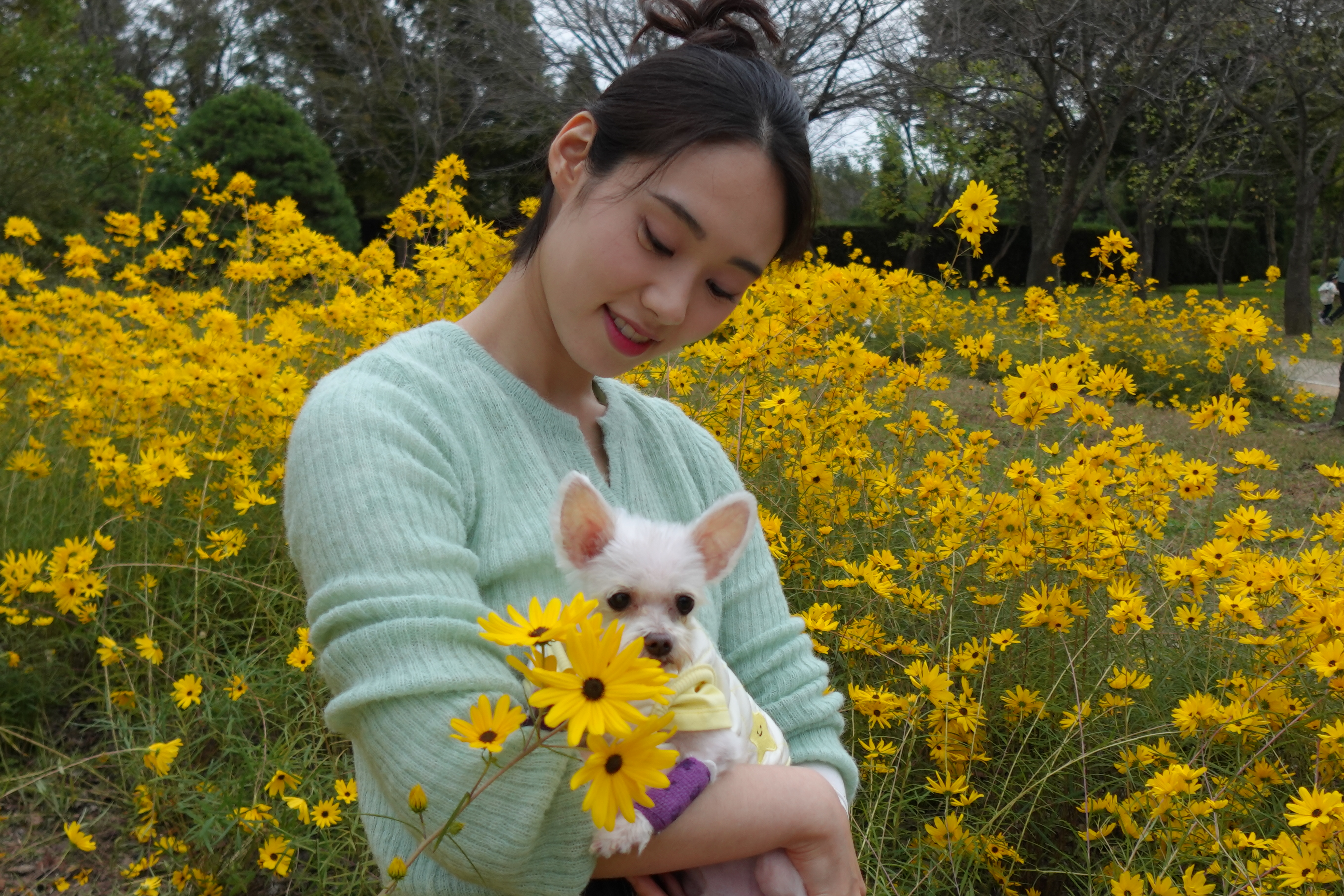 꾸미(익준이)와 함께 맞은 가을 이야기 🍂