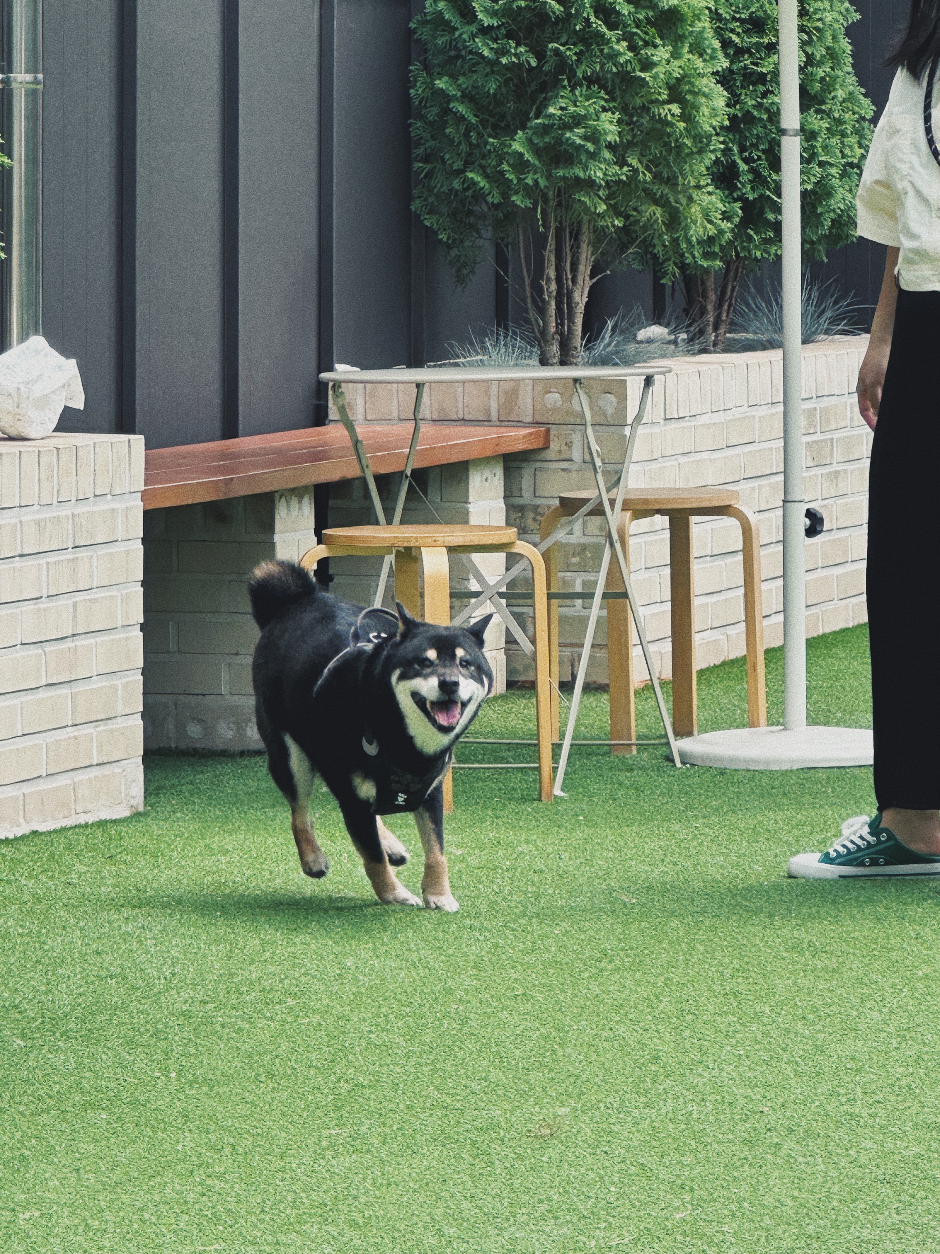 한구(마징가) 함께한지 3년