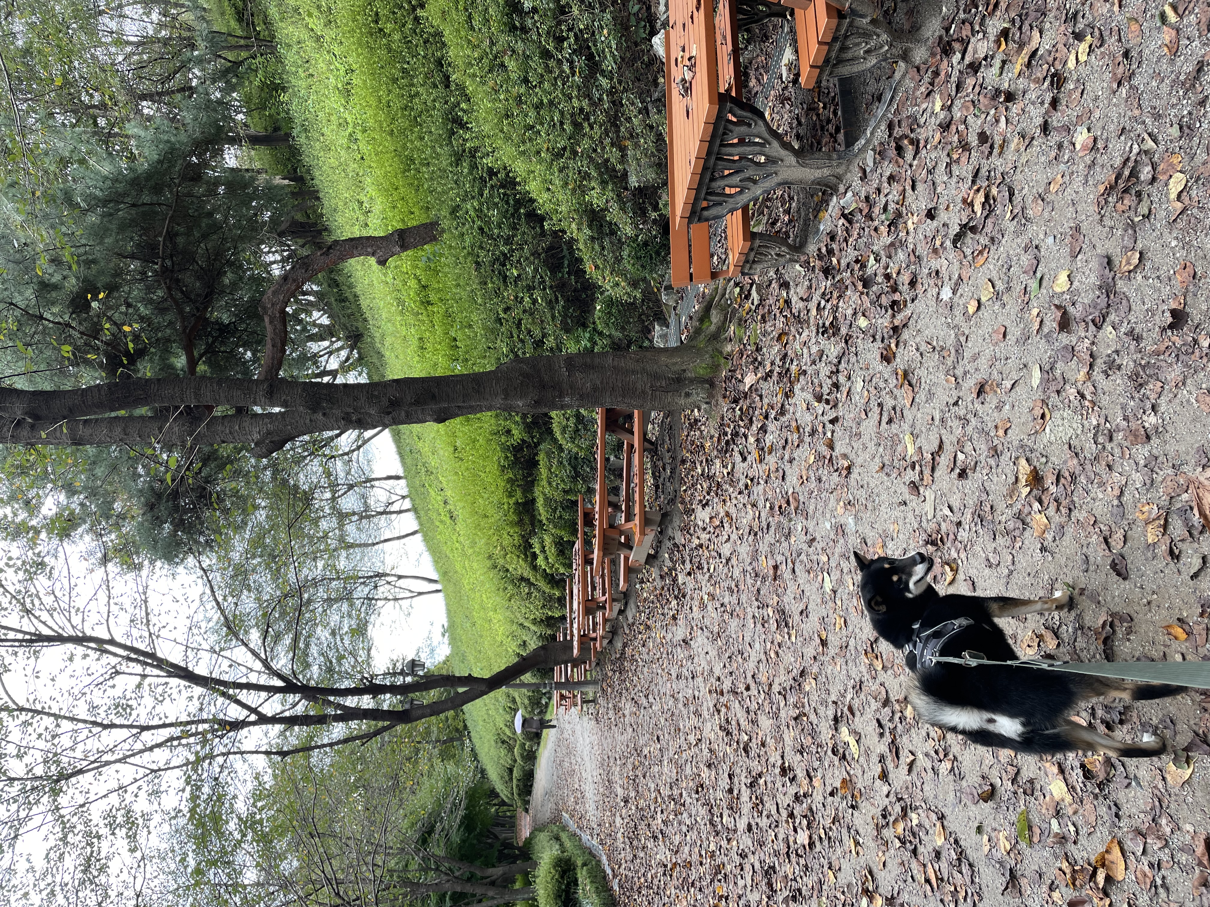 한구(마징가) 함께한지 3년