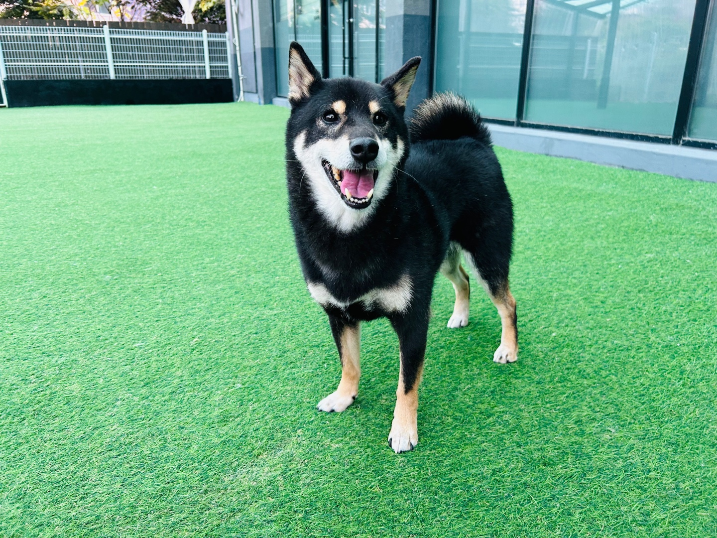 한구(마징가) 함께한지 3년