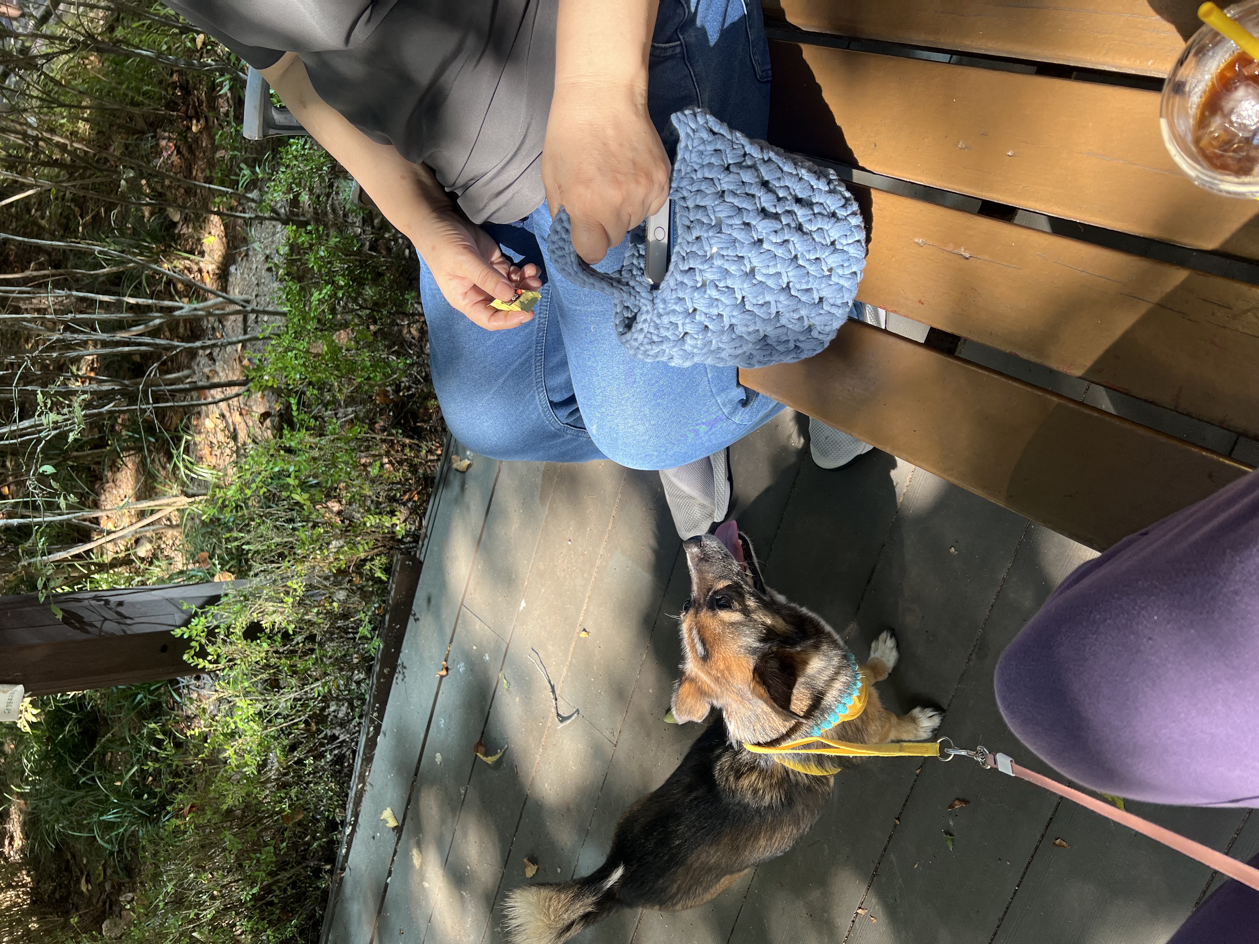 행복한 강아지 지로와 함께 (리복이)