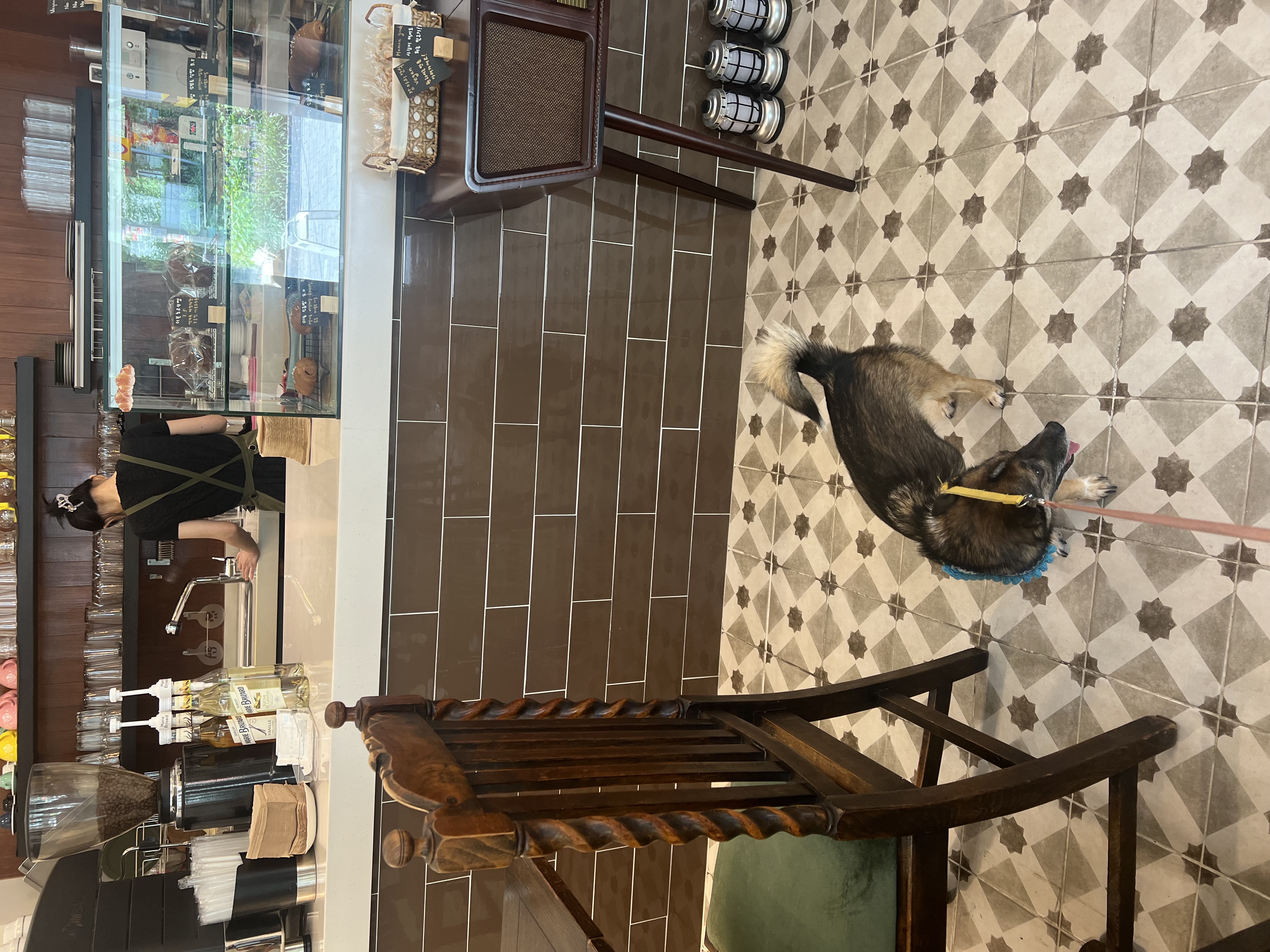 행복한 강아지 지로와 함께 (리복이)