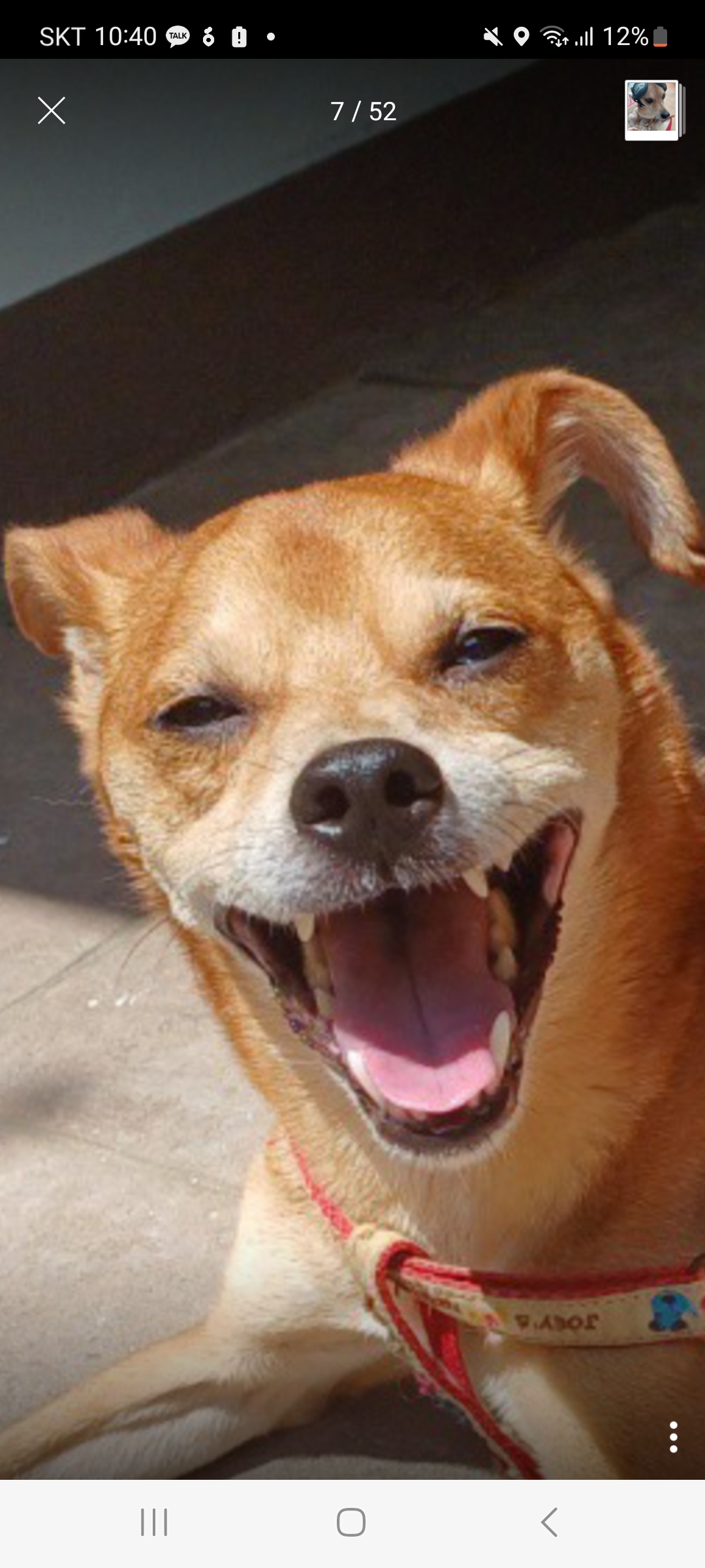 다온이 행복하게 잘 지내요~~