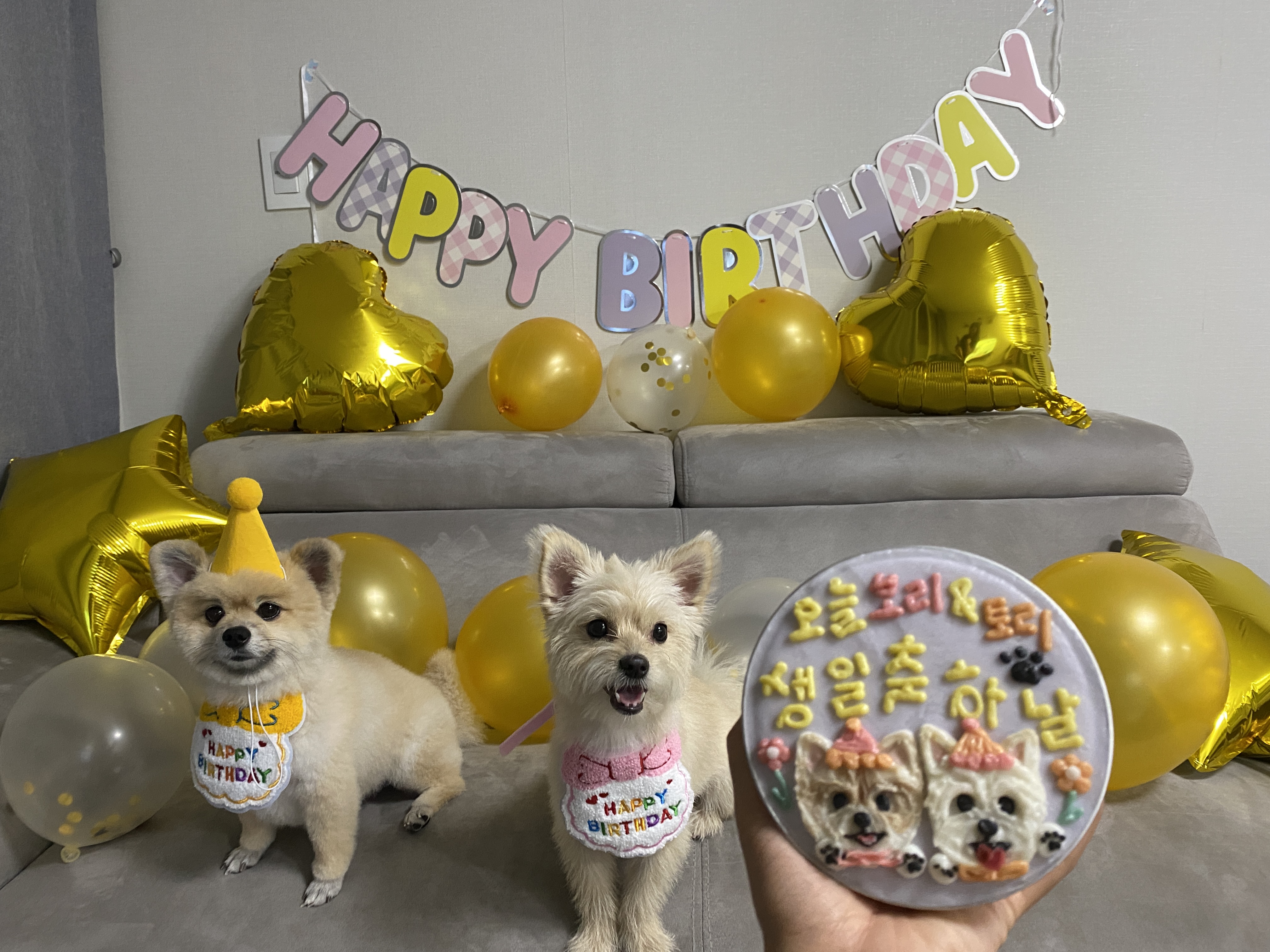 토리(소이)와 가족이 된 지 1년