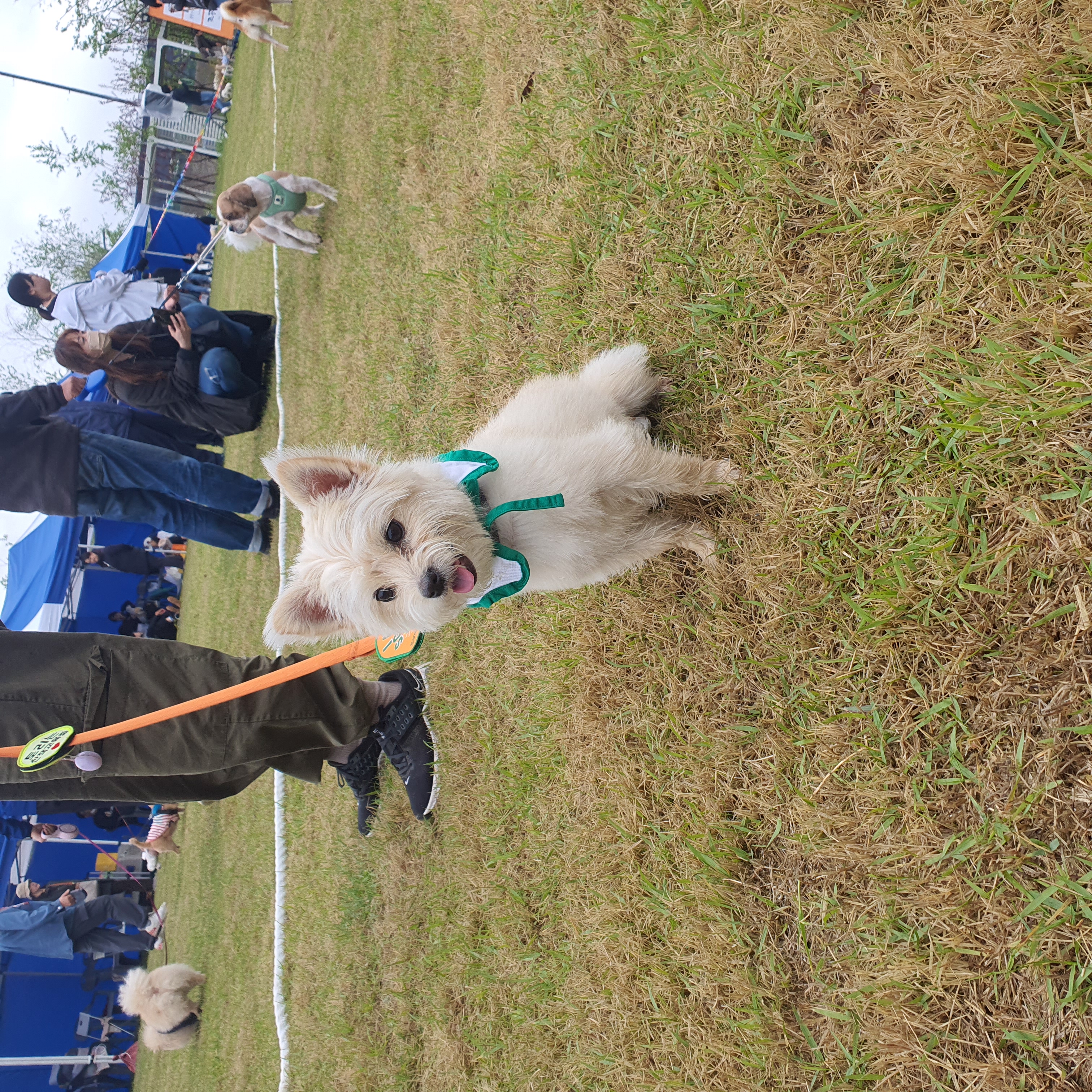 토리(소이)와 가족이 된 지 1년