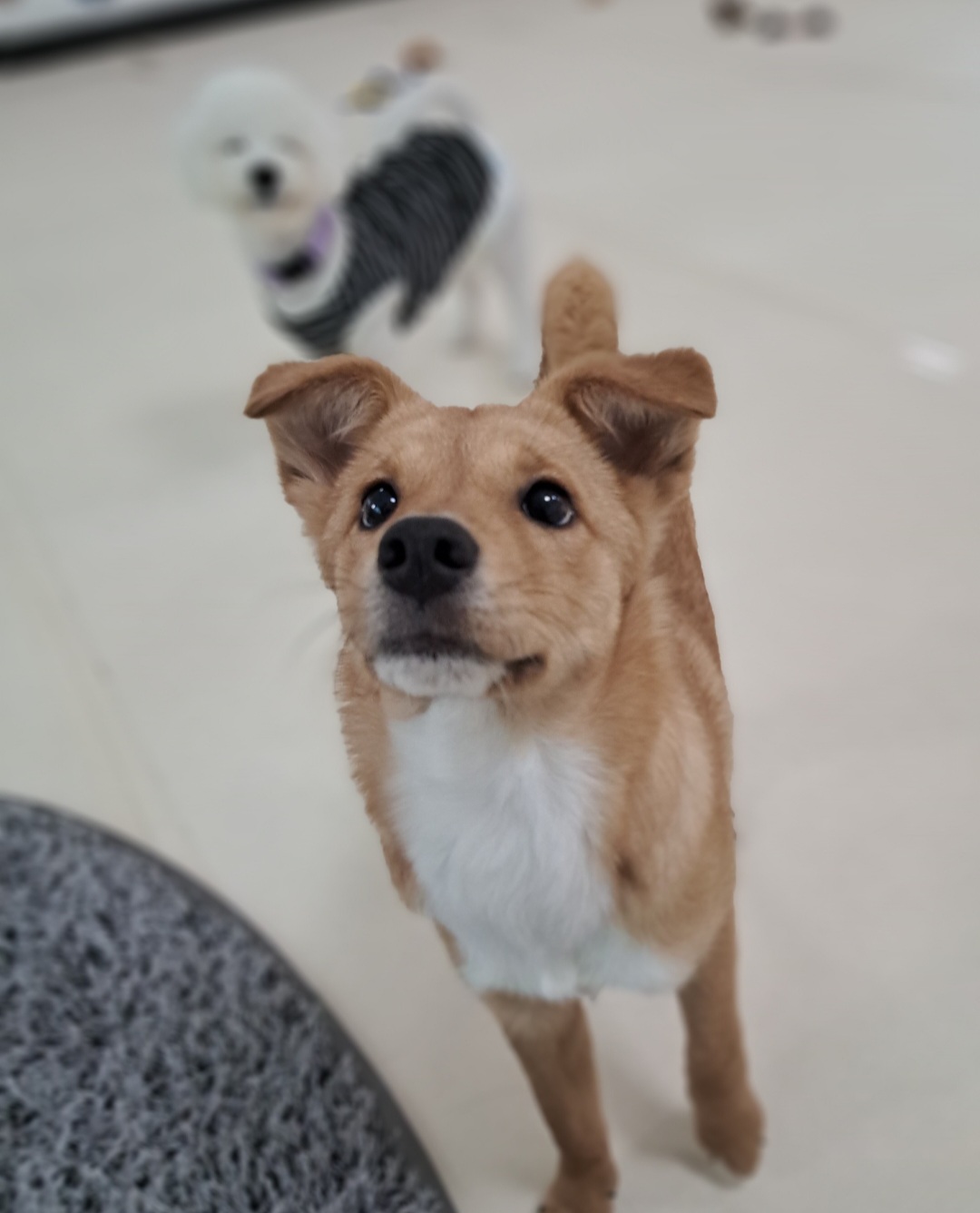 찌그(구 깜빛이) 한 달 후기