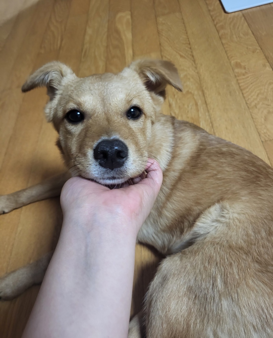 찌그(구 깜빛이) 한 달 후기