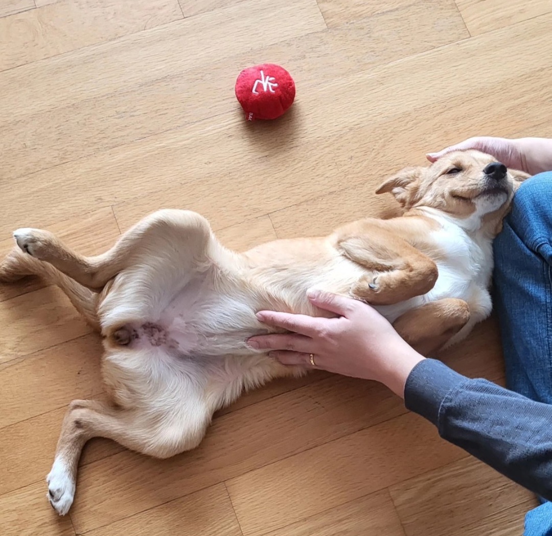 찌그(구 깜빛이) 한 달 후기