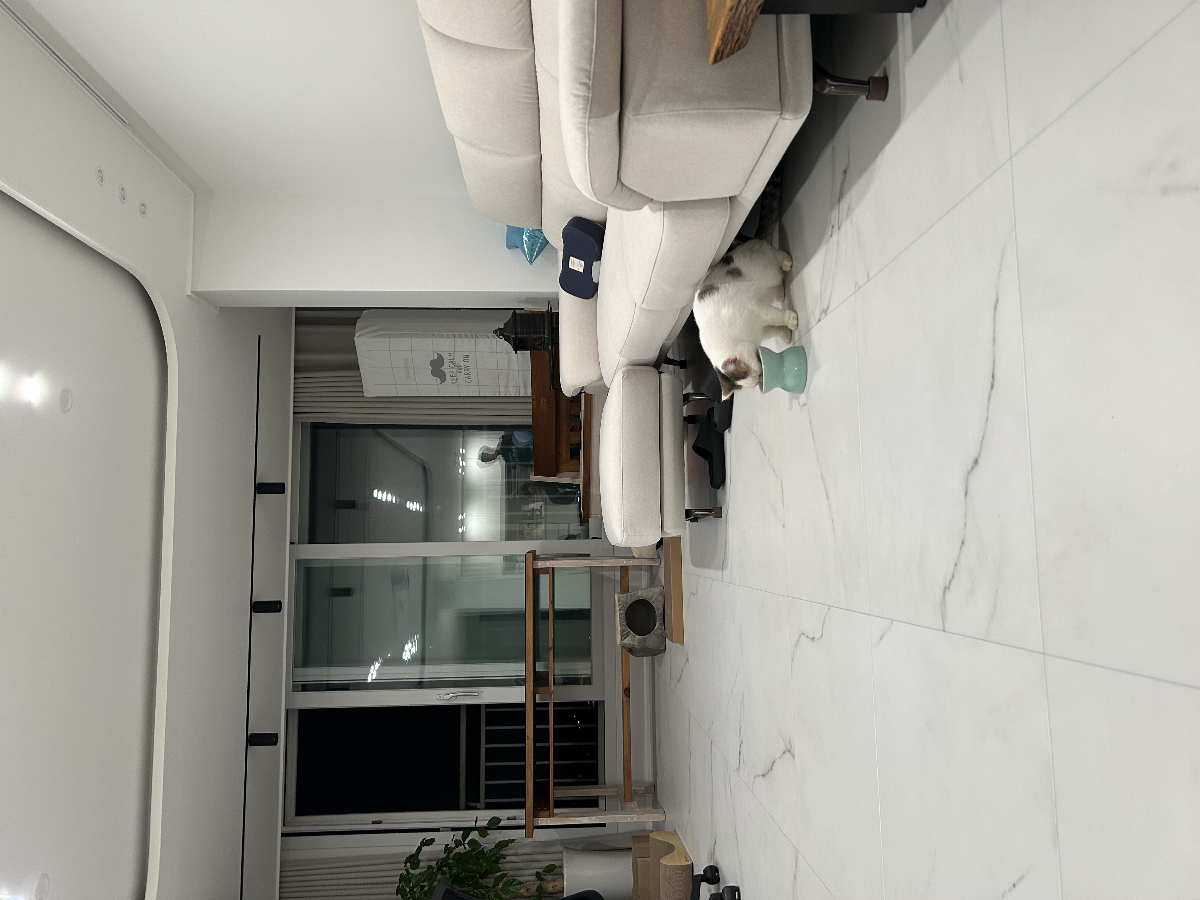 동엽이.살랑이 입양했어요!