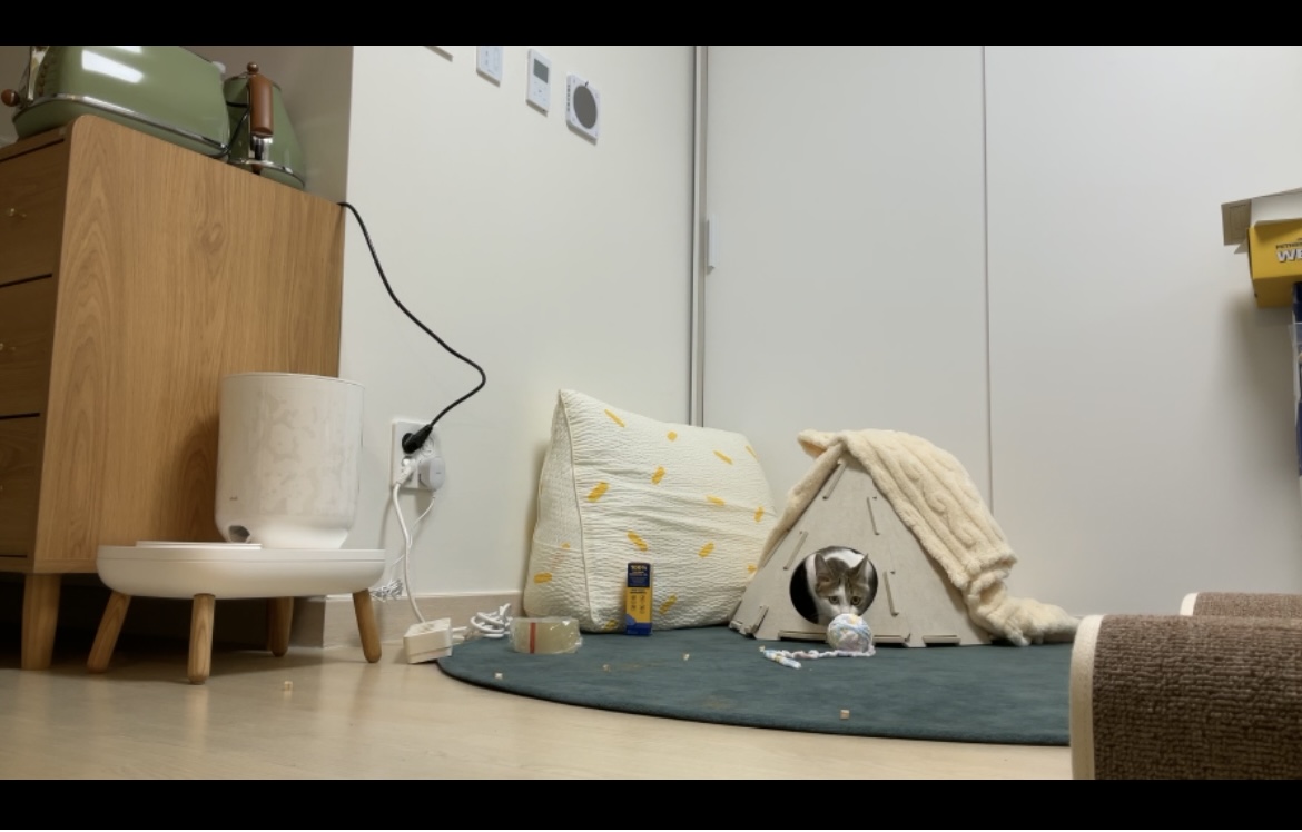 (이튼이) 로지의 일주일