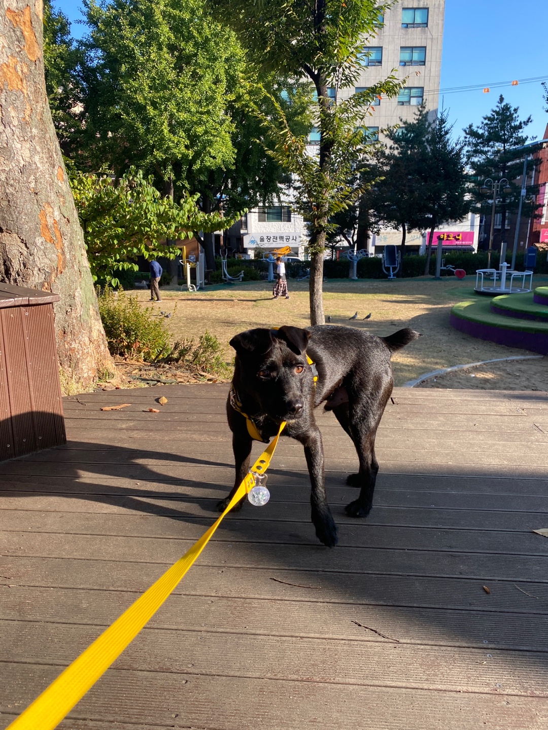 제로와 가족이 된 지 벌써 1년이 됐네요.
