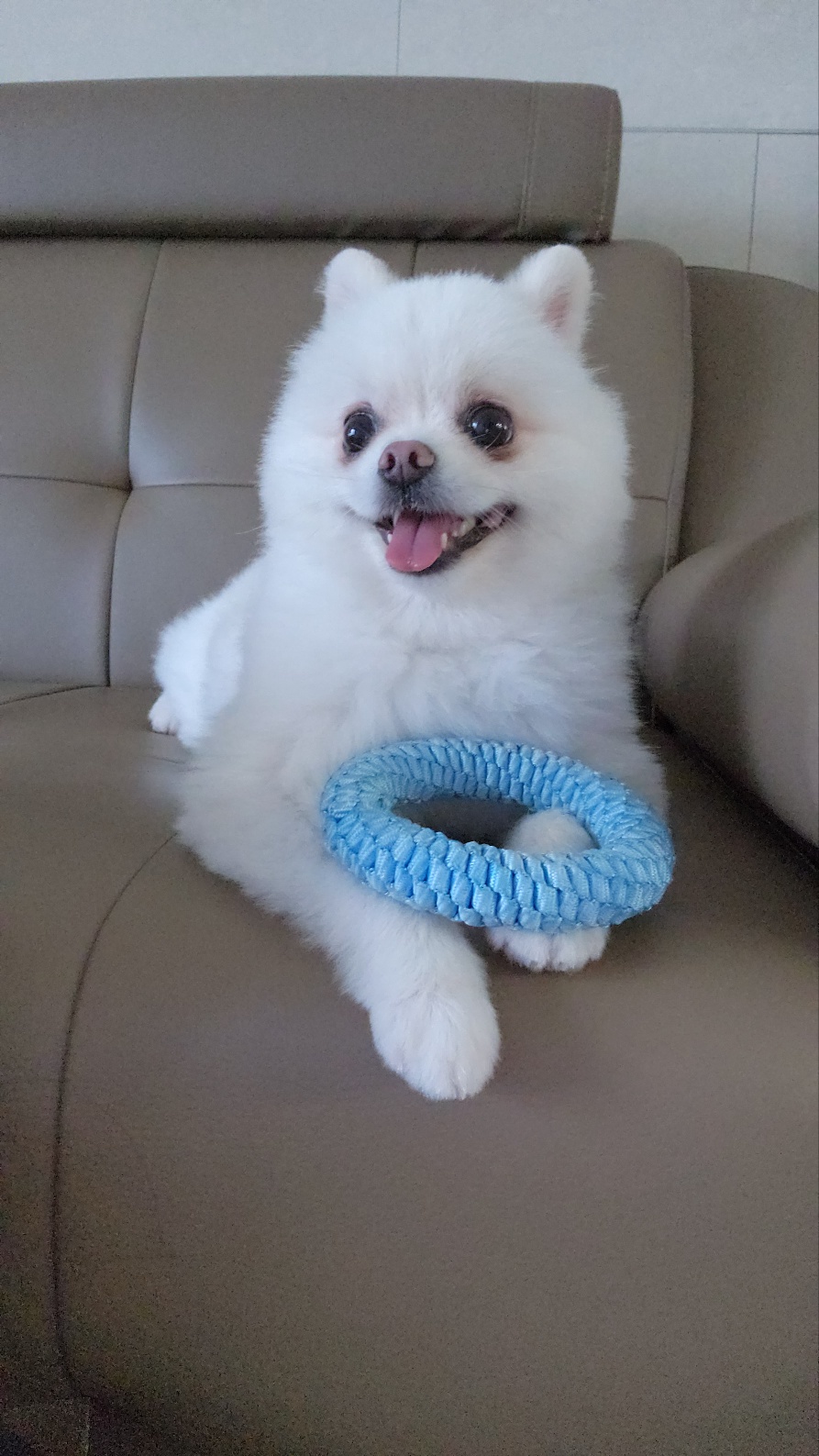 율무(시루)가 1년이 다 되어갑니다~