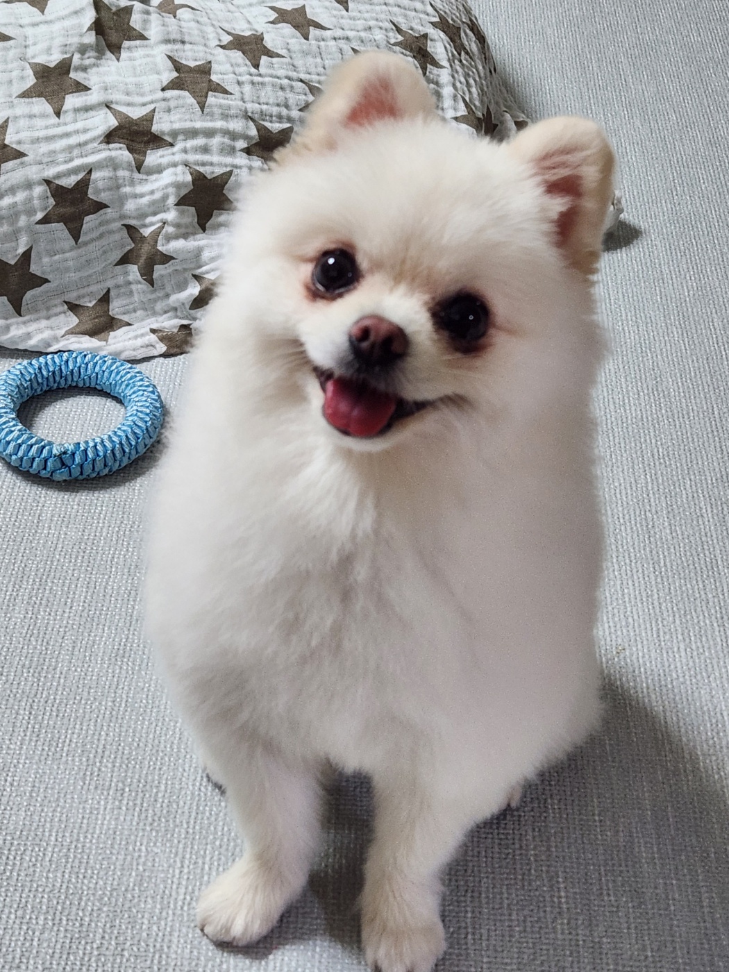 율무(시루)가 1년이 다 되어갑니다~