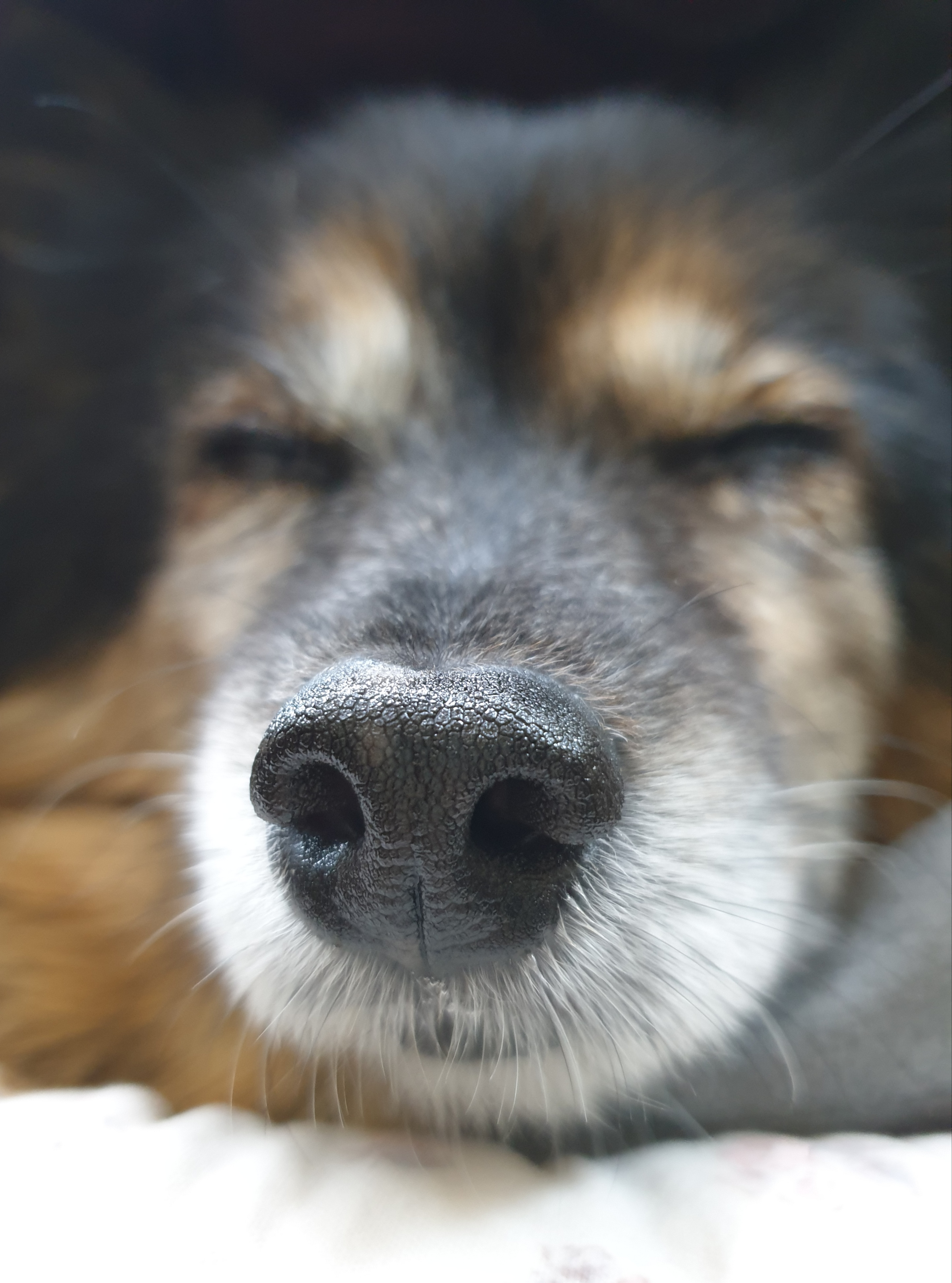 베를린 소식 올려요 (곧 15살)