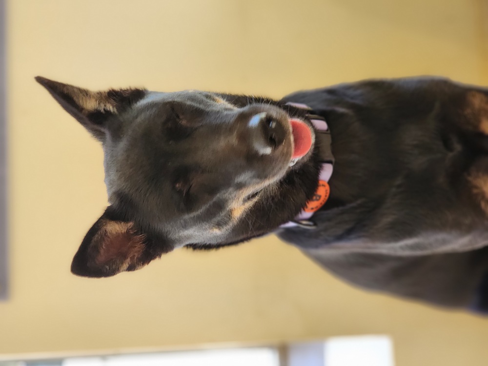 고미가 된 곰곰 2주년