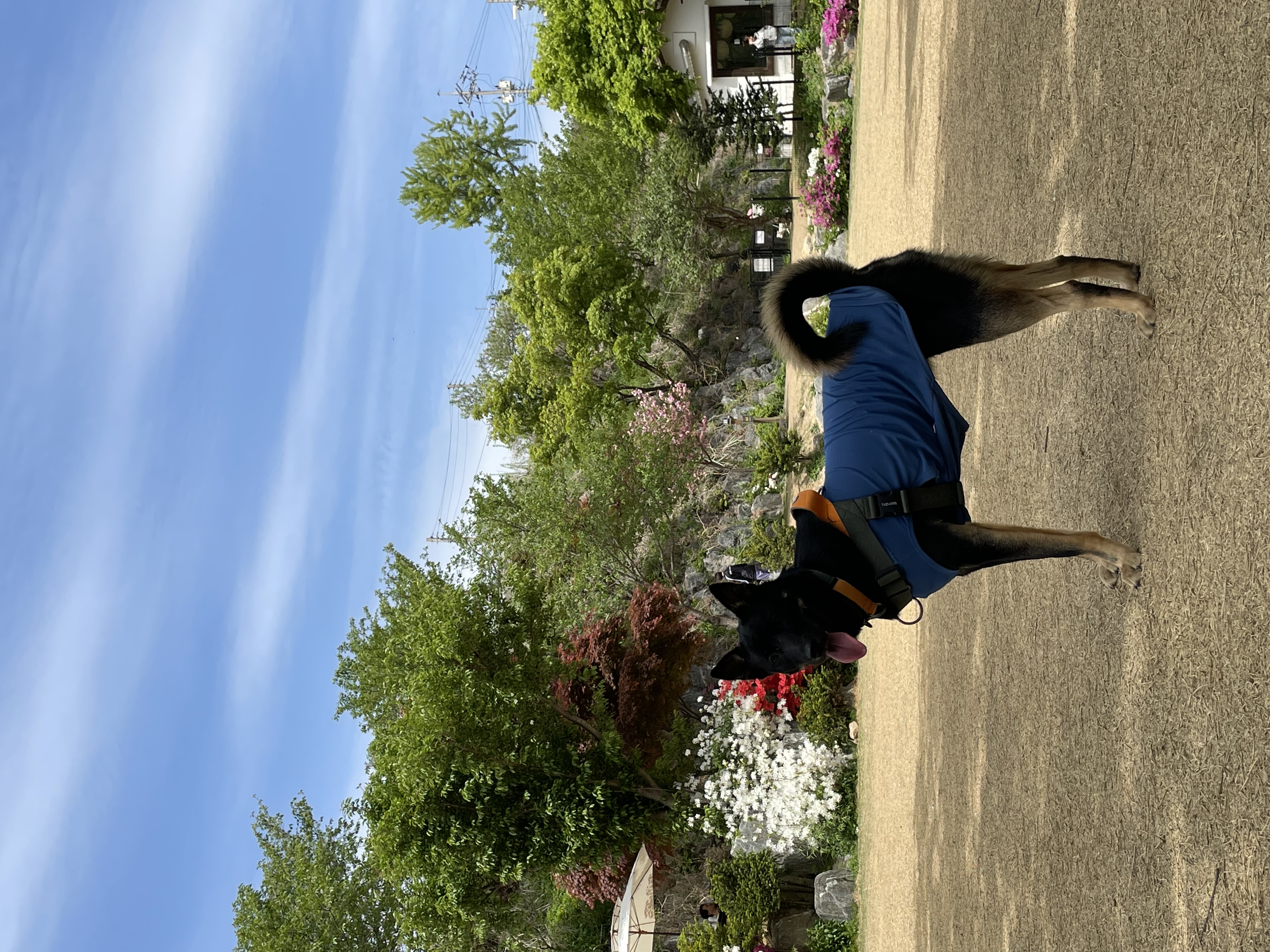 고미가 된 곰곰 2주년