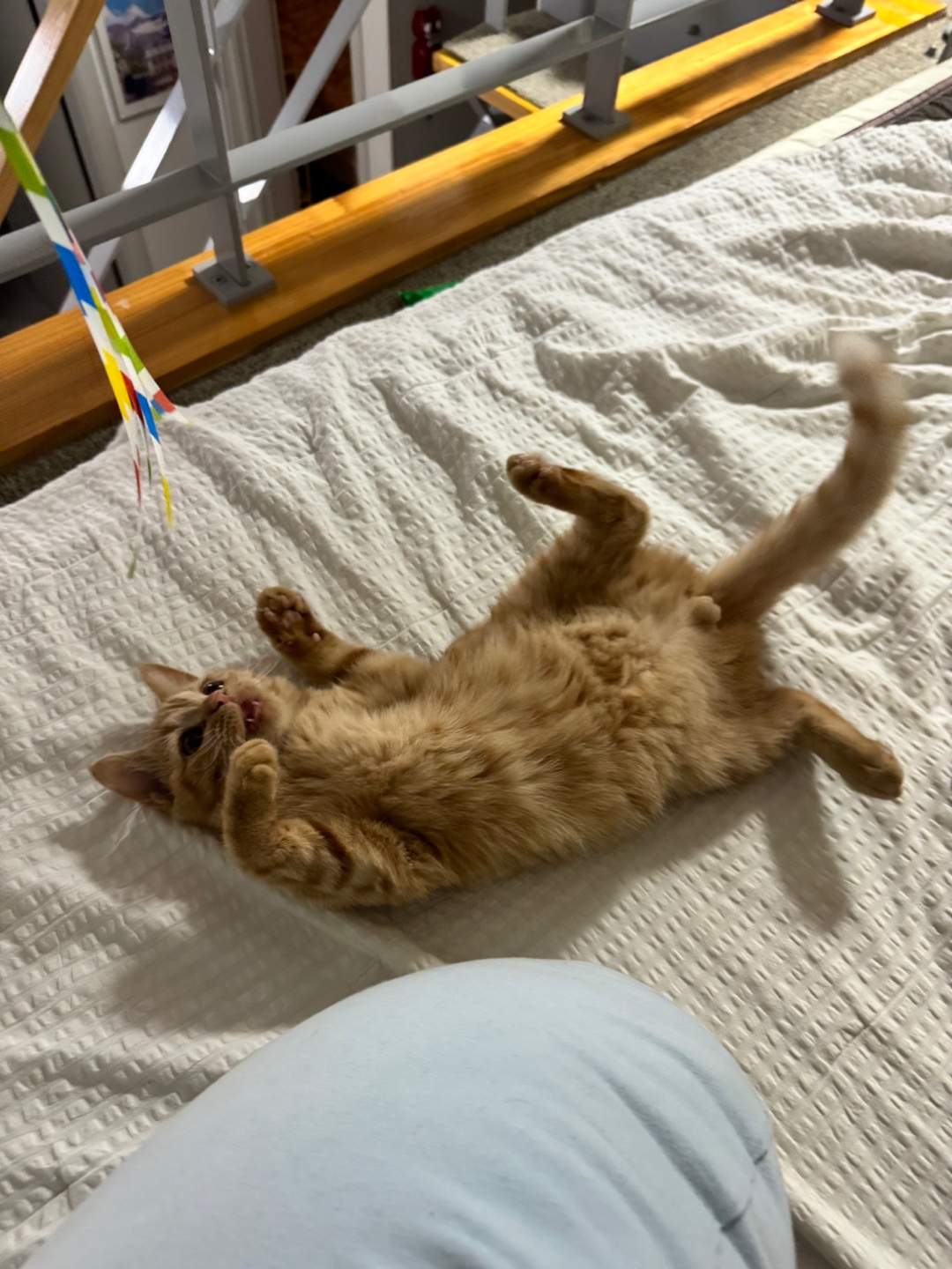 에몽이의 일주일 후기