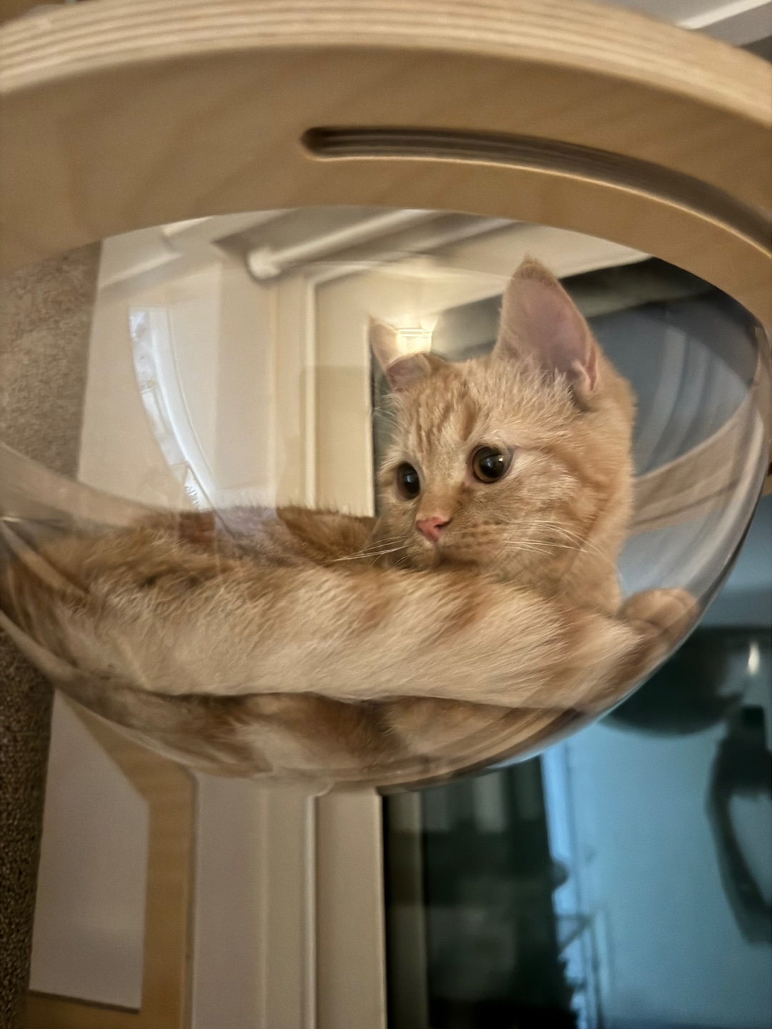 에몽이의 일주일 후기