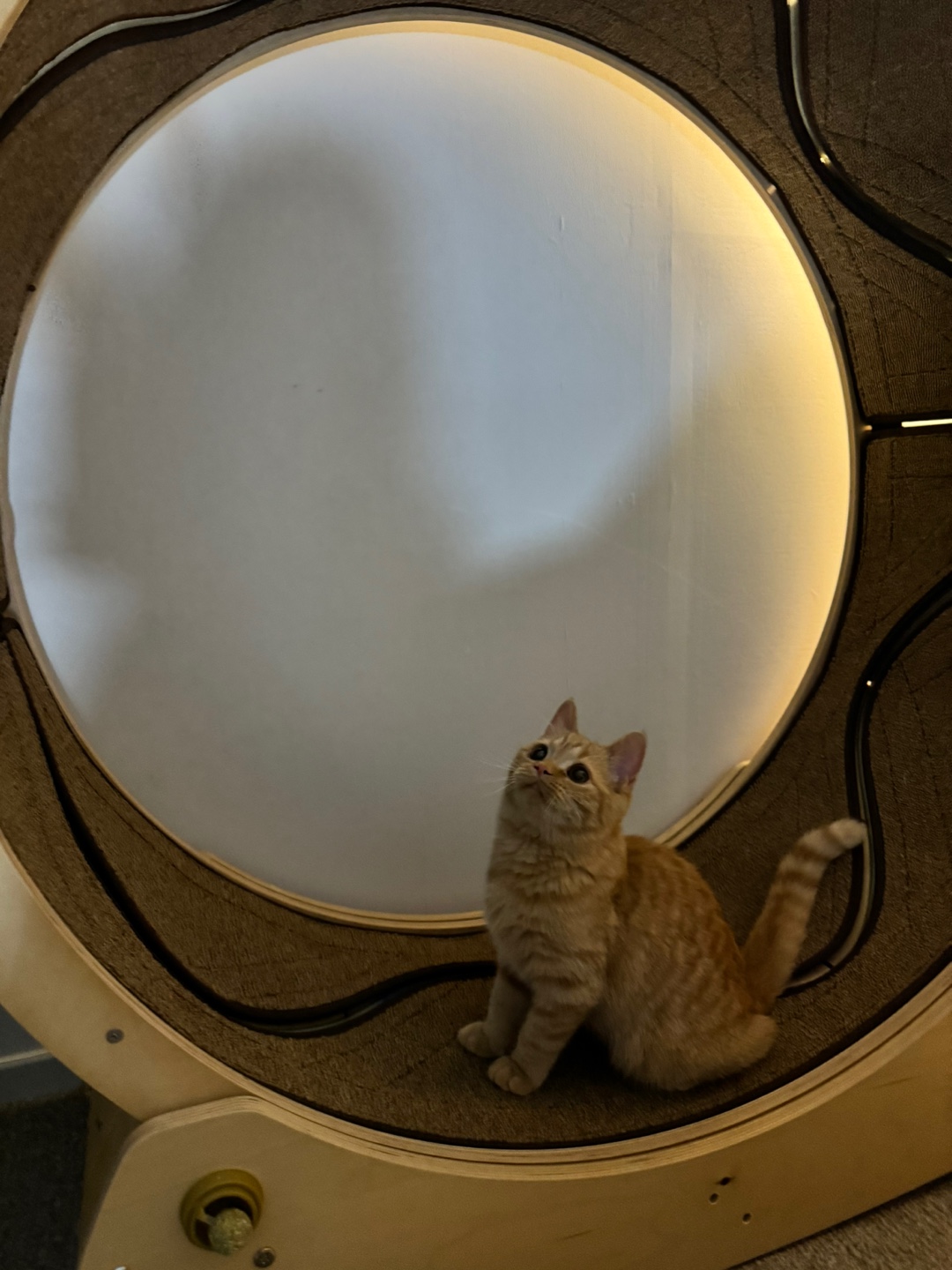 에몽이의 일주일 후기