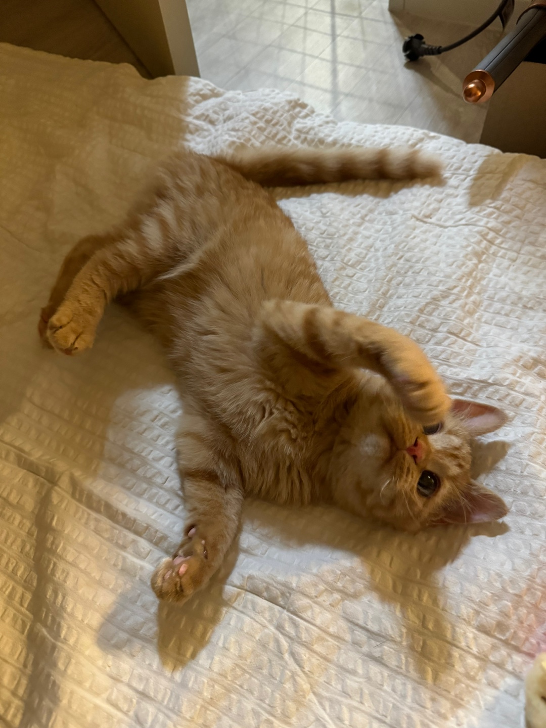 에몽이의 일주일 후기