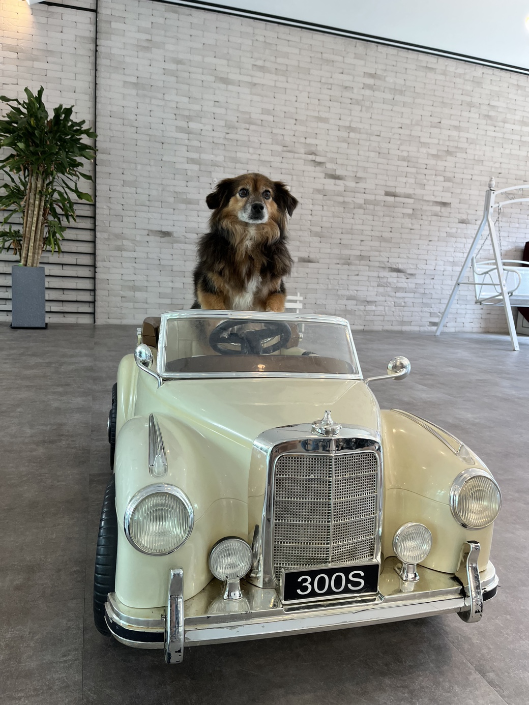 오랜만에 정왕이 인사드려요!