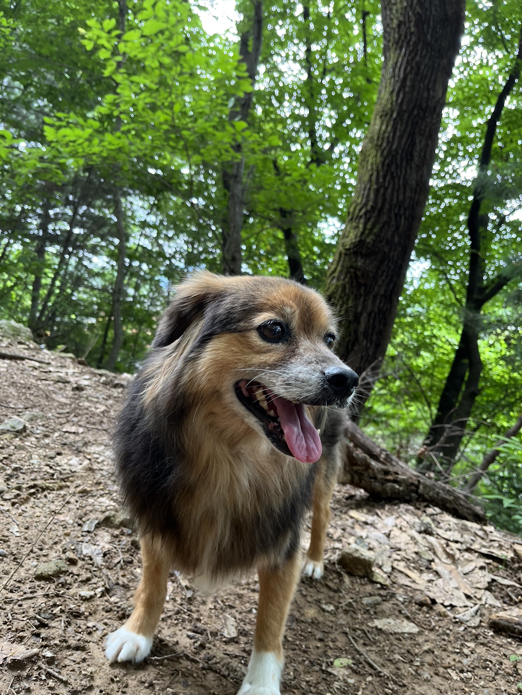 오랜만에 정왕이 인사드려요!