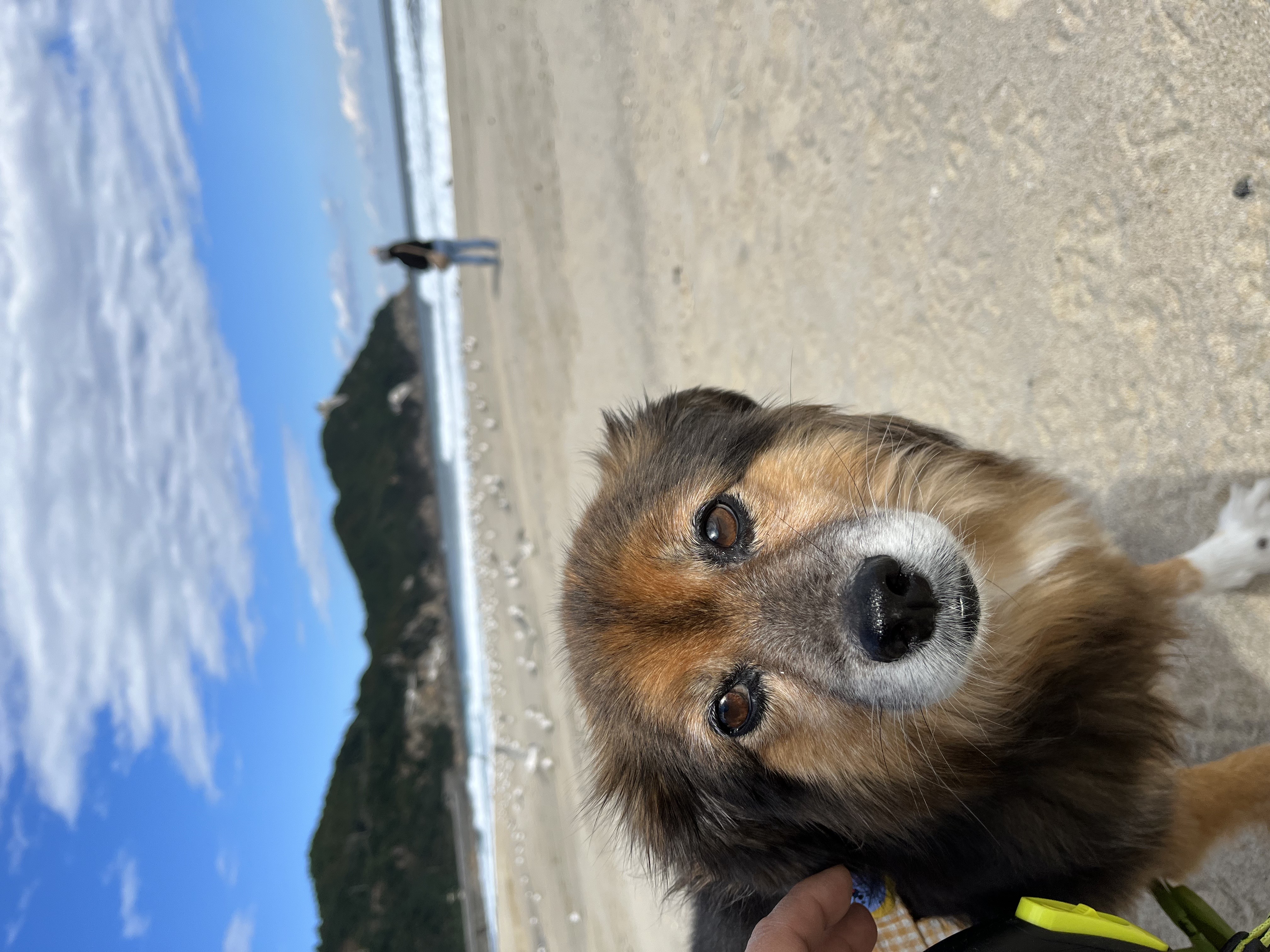 오랜만에 정왕이 인사드려요!