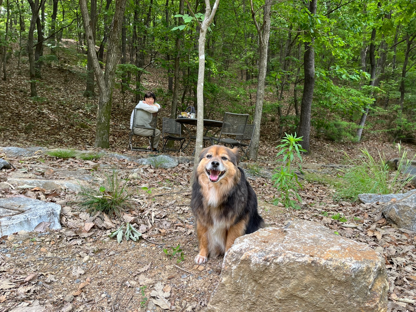 오랜만에 정왕이 인사드려요!