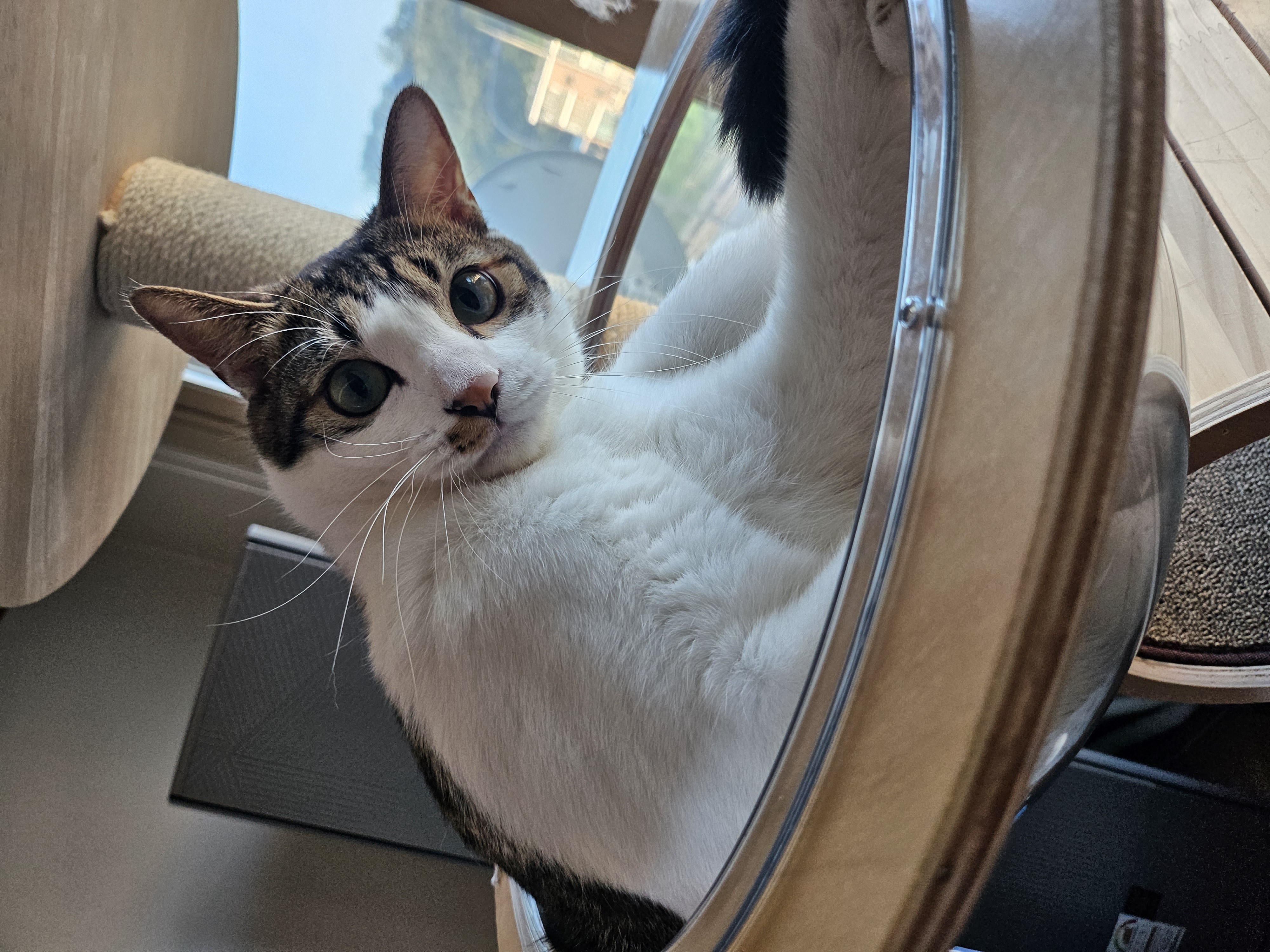 탄이(해성이)와 1년