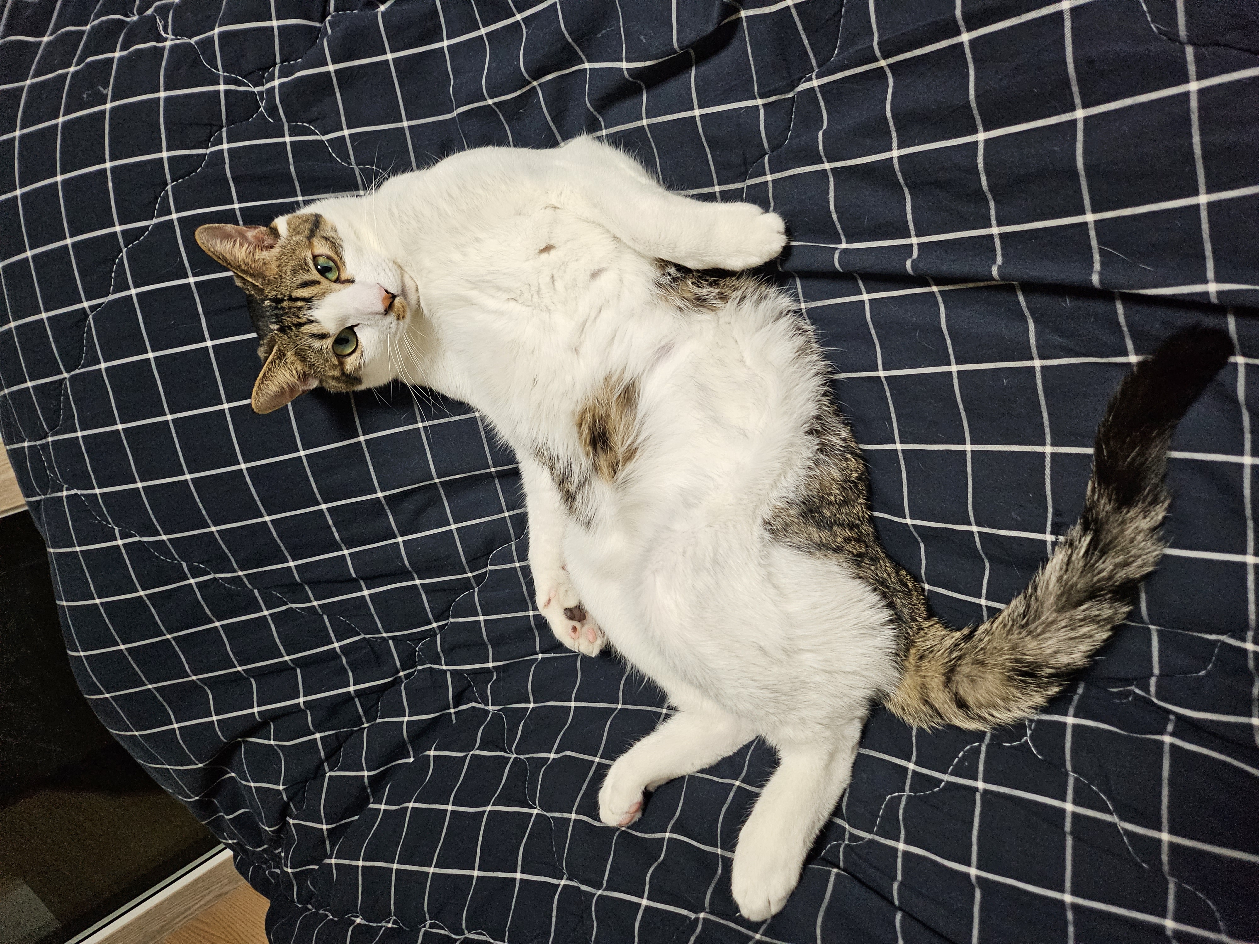 탄이(해성이)와 1년