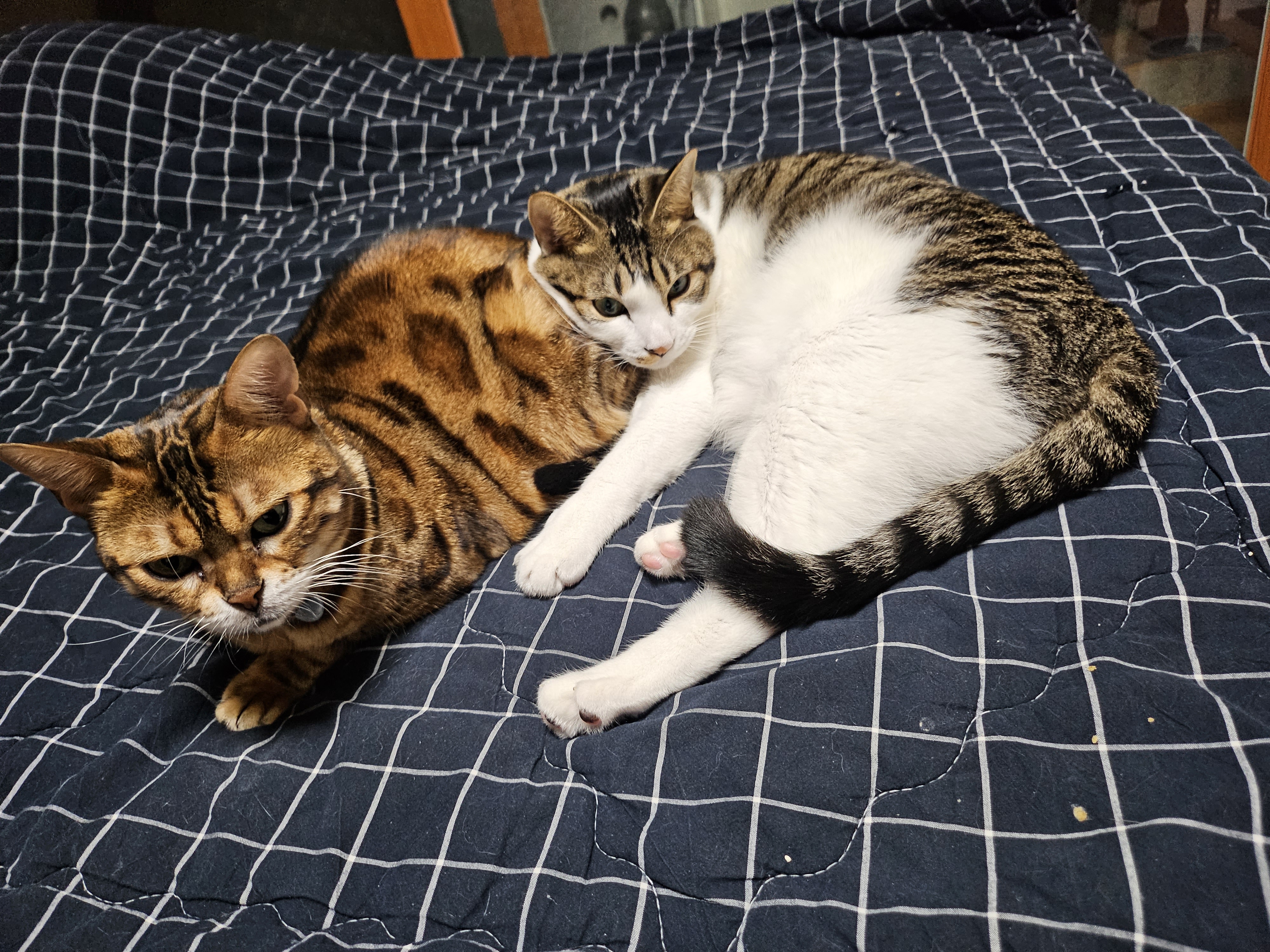 탄이(해성이)와 1년