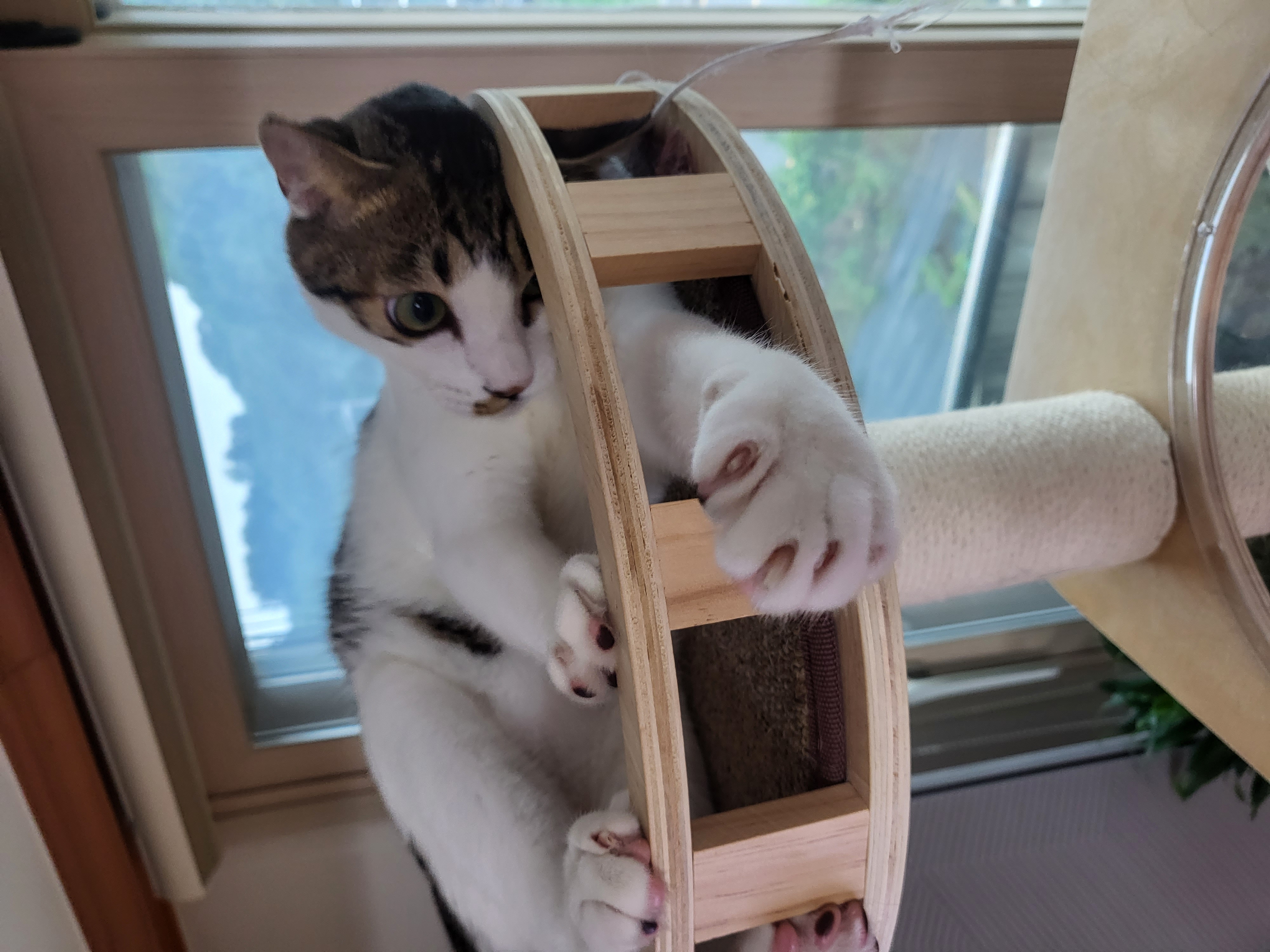 탄이(해성이)와 1년