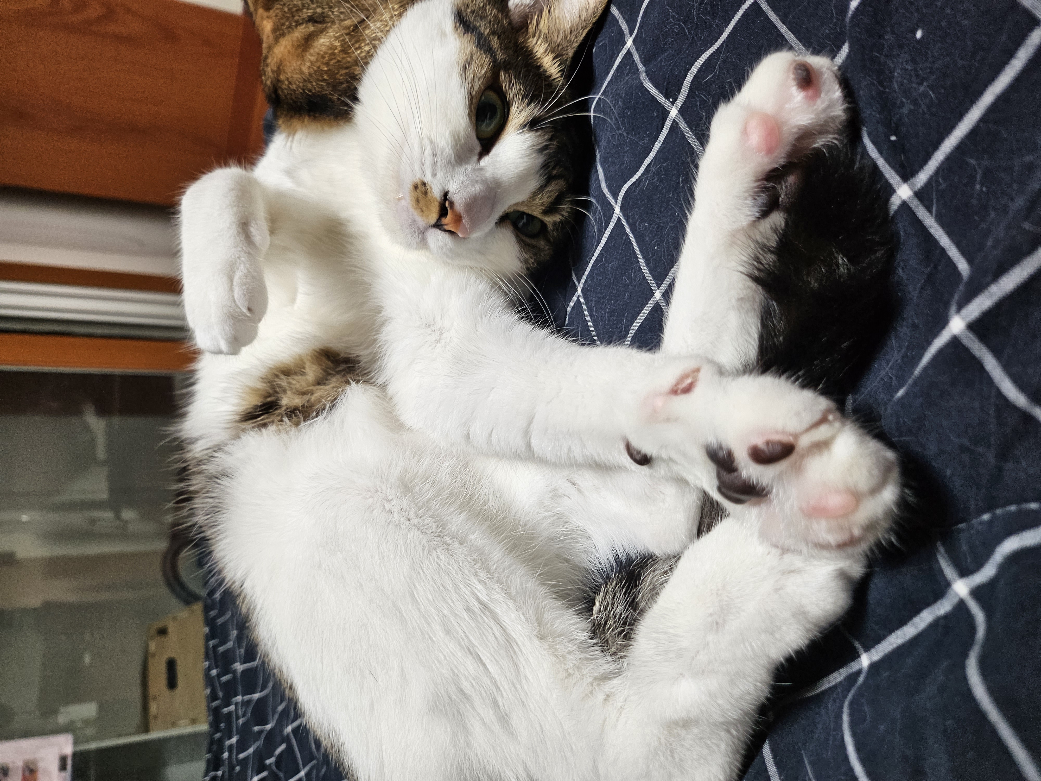 탄이(해성이)와 1년