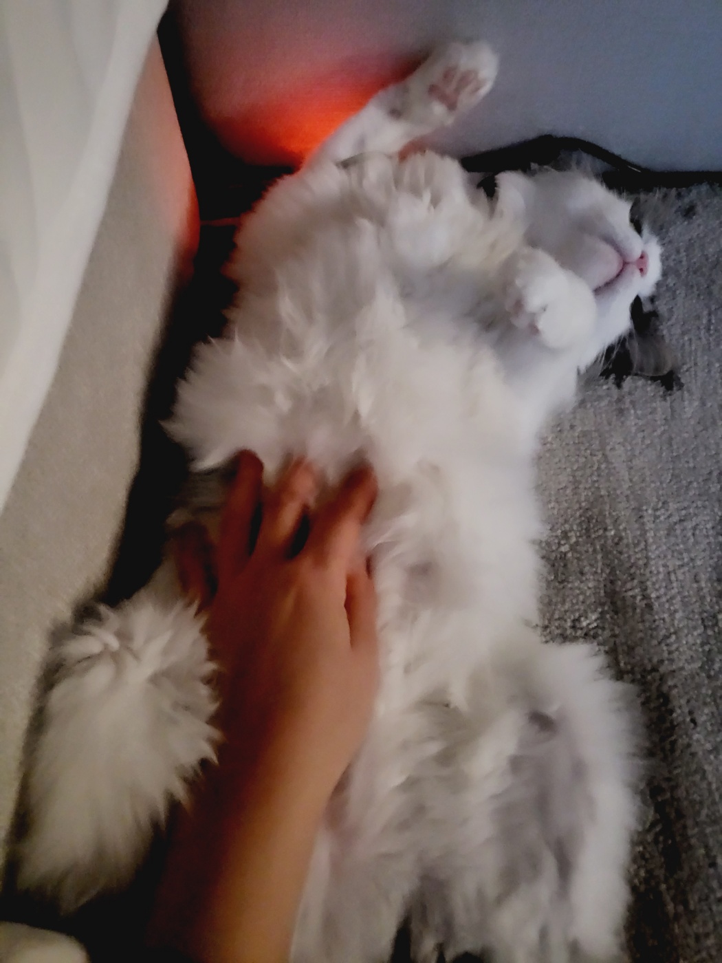 덩치큰 막내 썬 ~ .. 늦은후기 