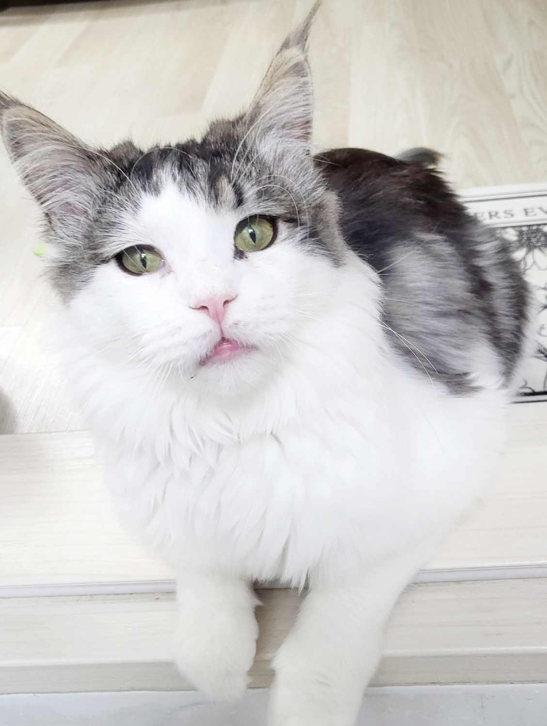 덩치큰 막내 썬 ~ .. 늦은후기 