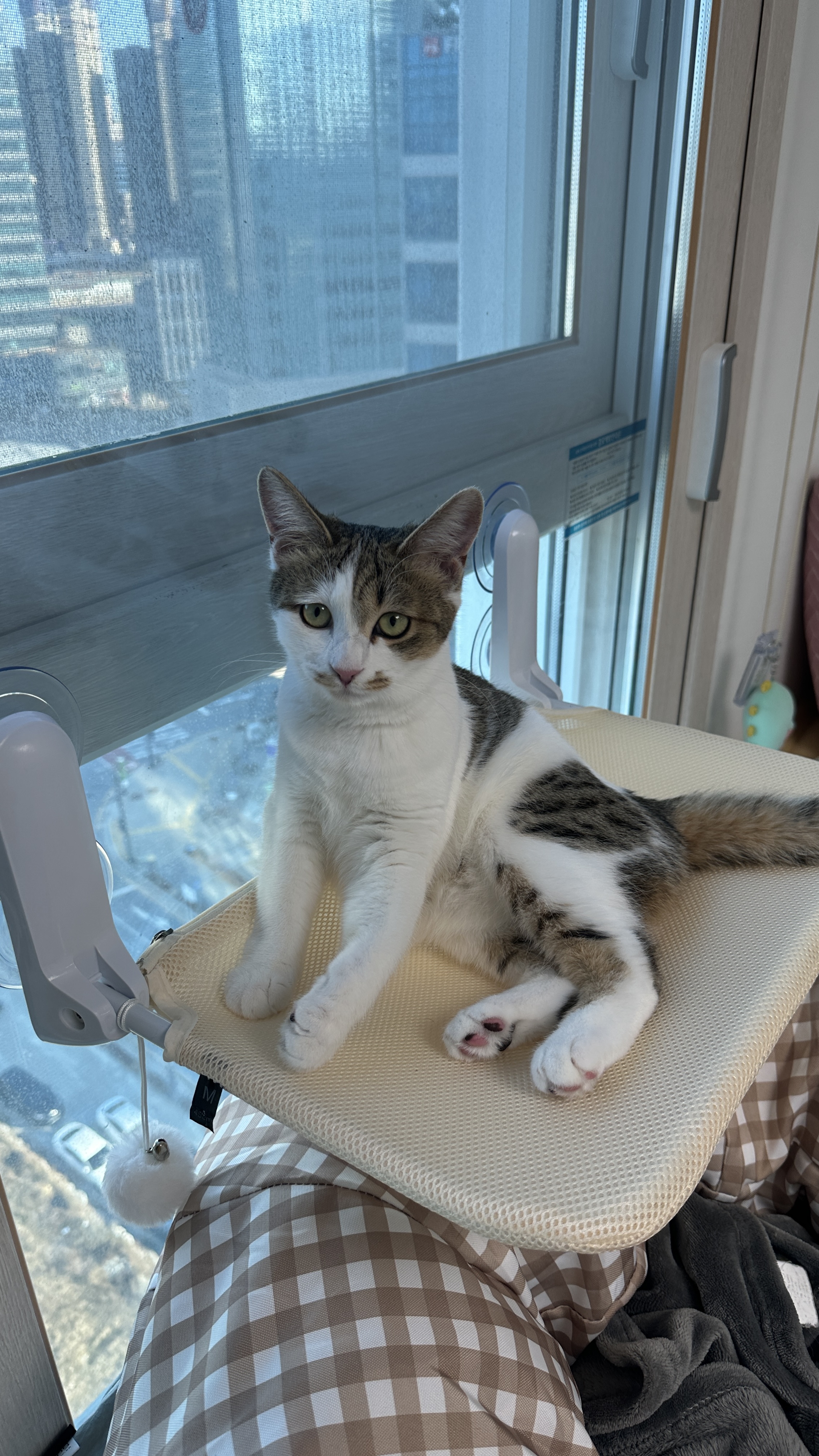 (이튼이) 로지와 1개월