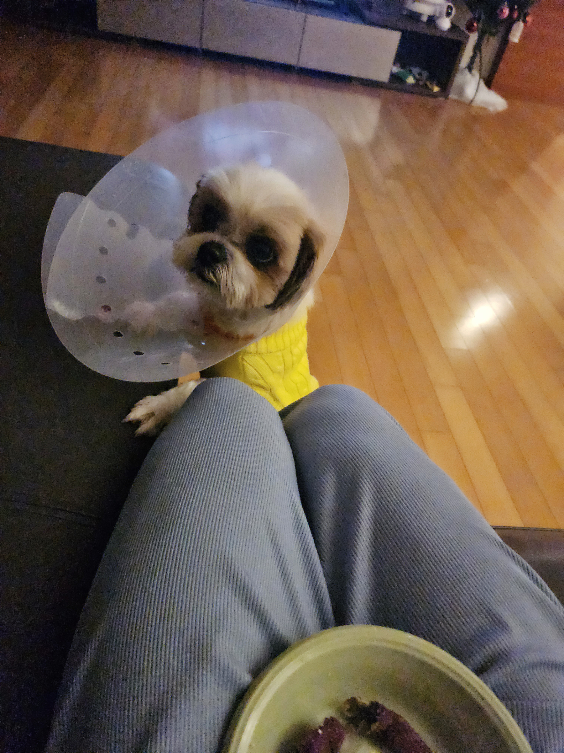 (에밀리_7일차) 우리가족 튼튼이로 거듭나다