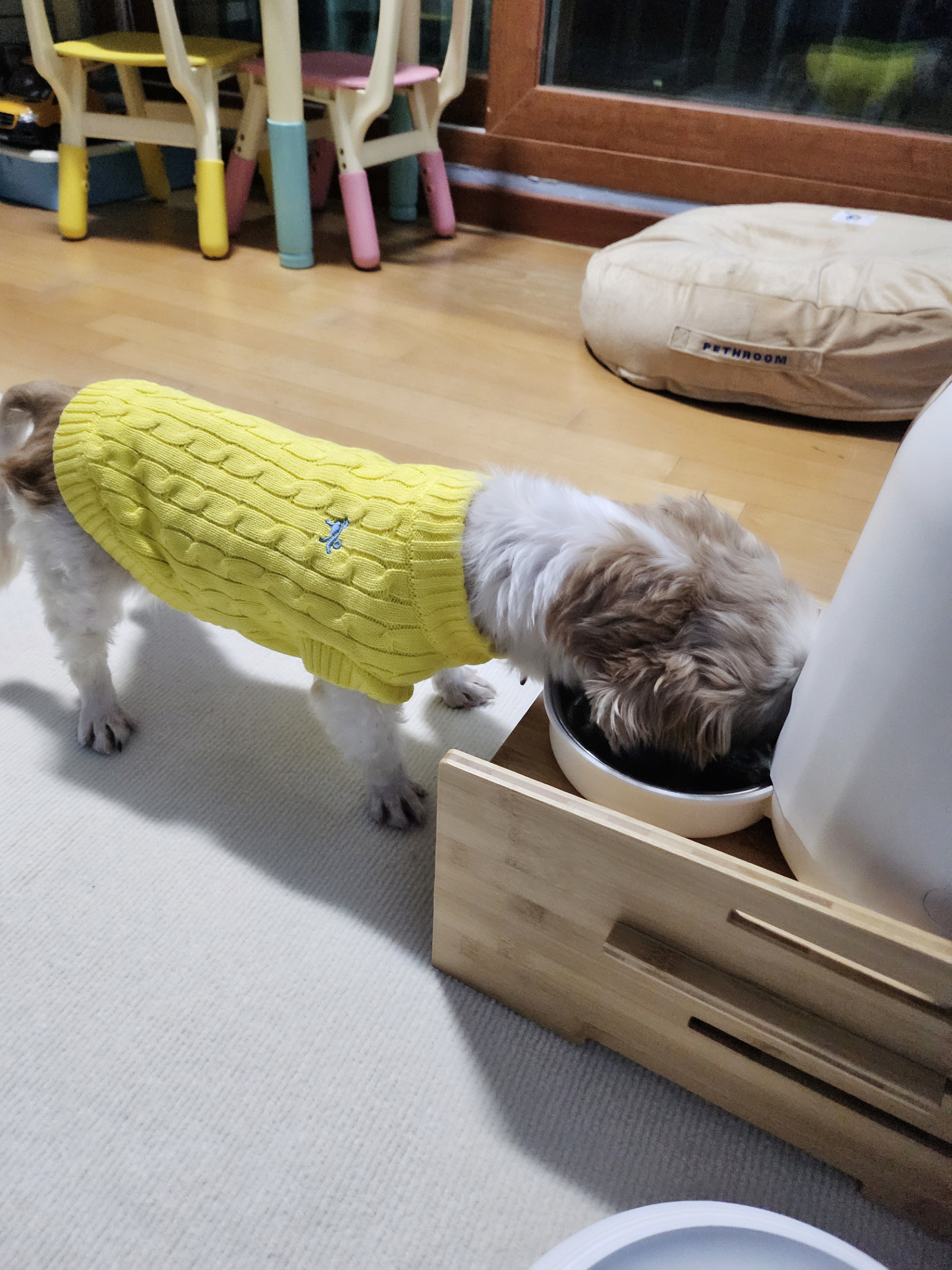 (에밀리_7일차) 우리가족 튼튼이로 거듭나다