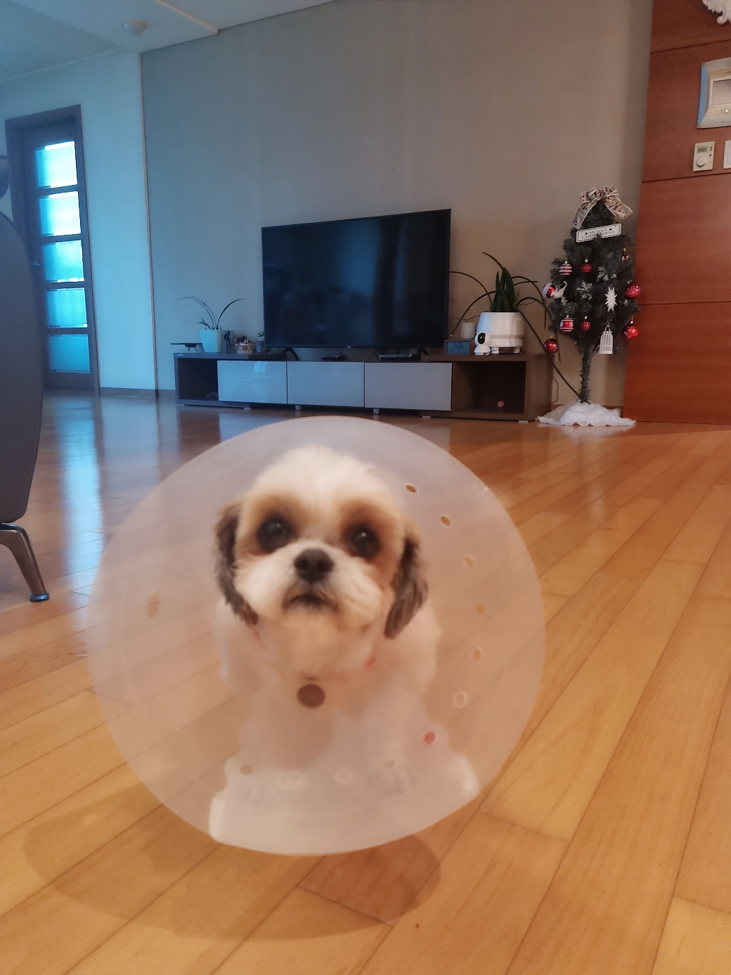 (에밀리_7일차) 우리가족 튼튼이로 거듭나다