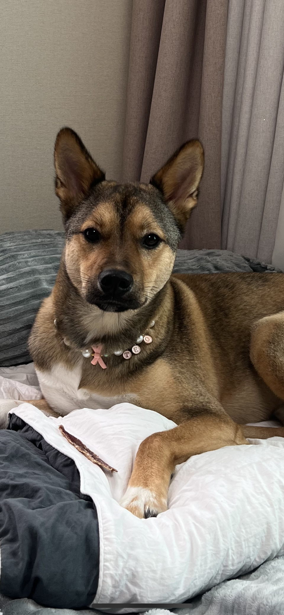 (구,강식) 테오의 일년 가족일기