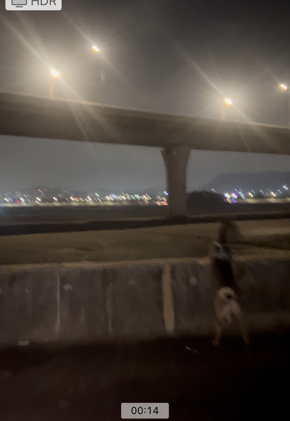 (구,강식) 테오의 일년 가족일기