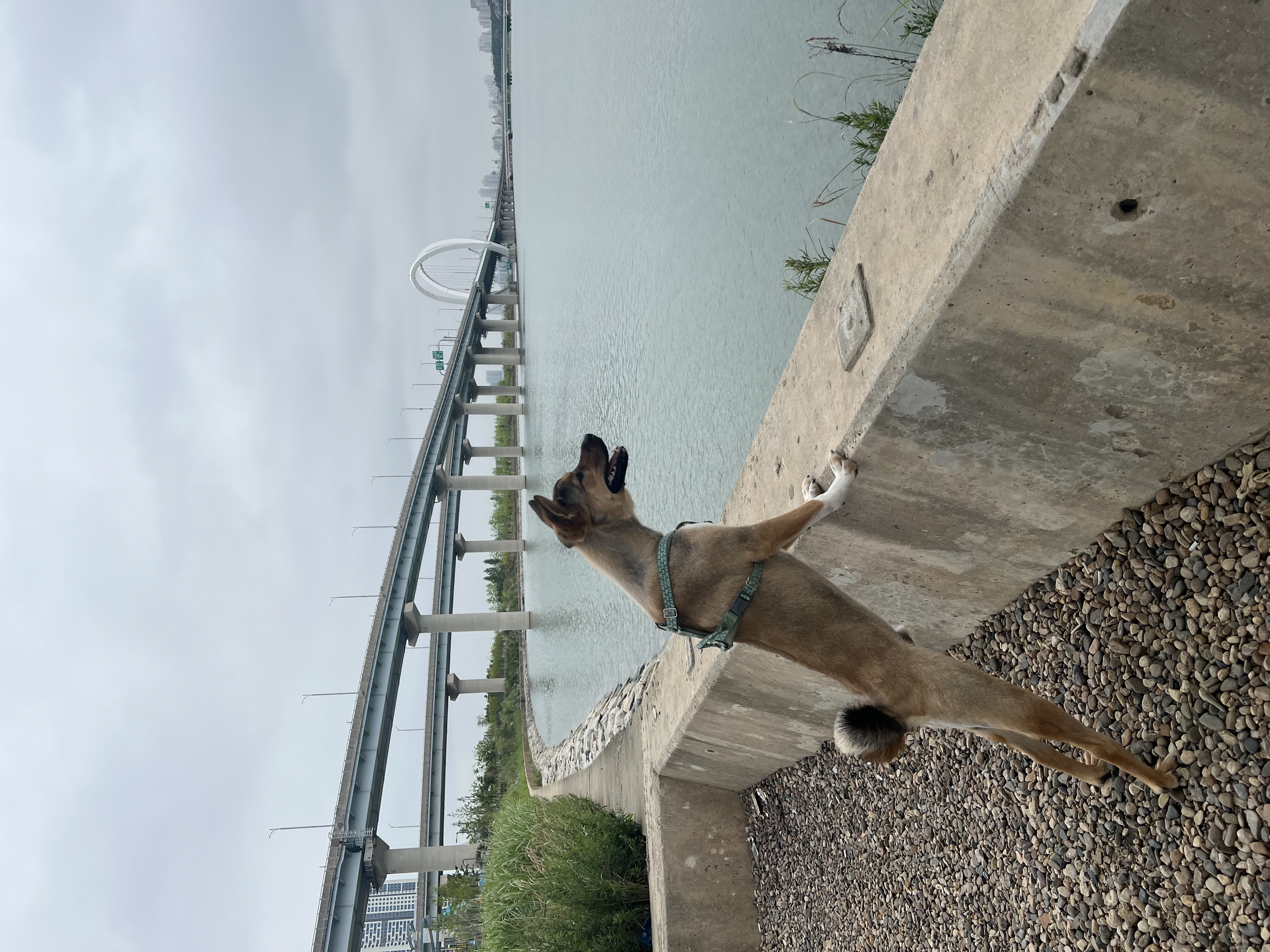 (구,강식) 테오의 일년 가족일기