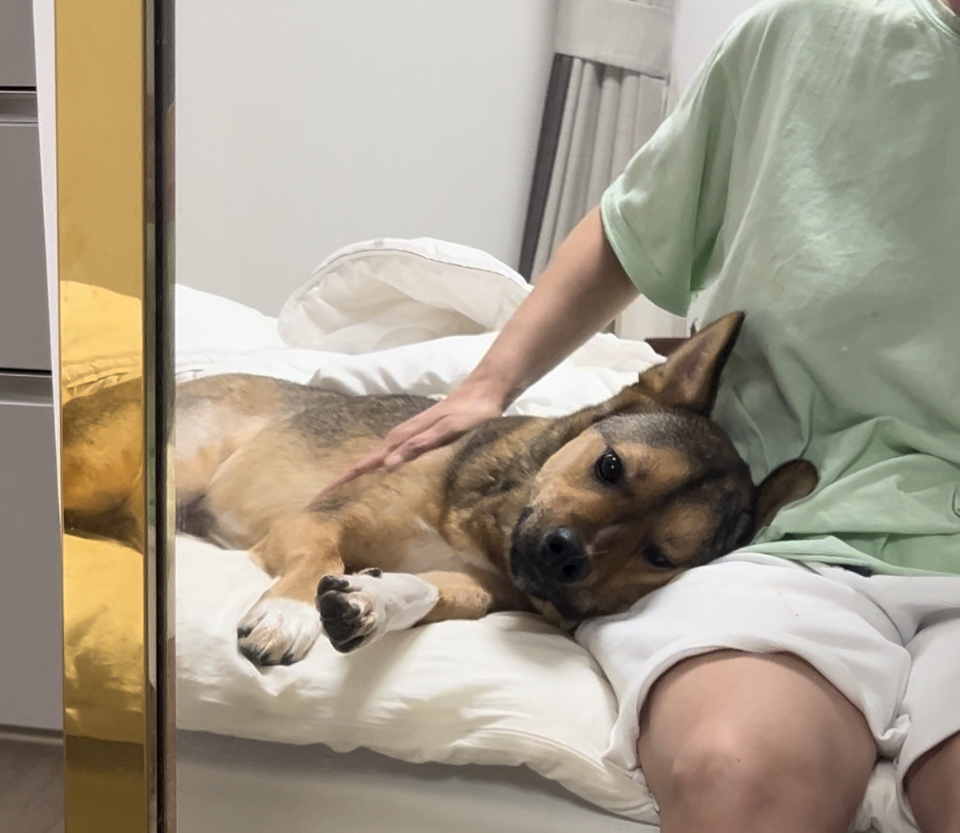 (구,강식) 테오의 일년 가족일기