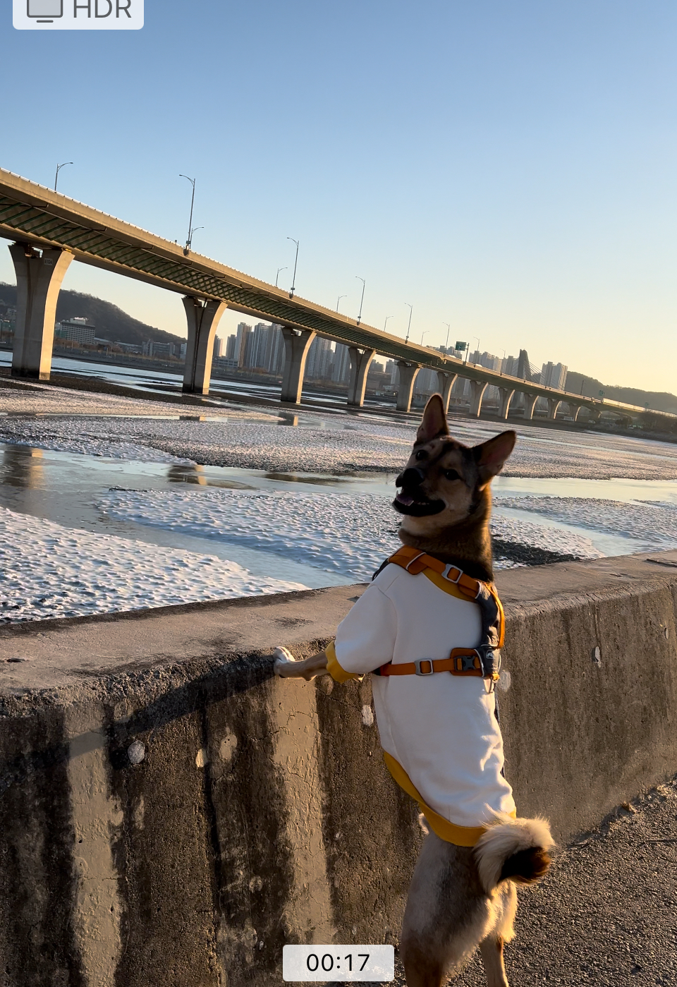 (구,강식) 테오의 일년 가족일기